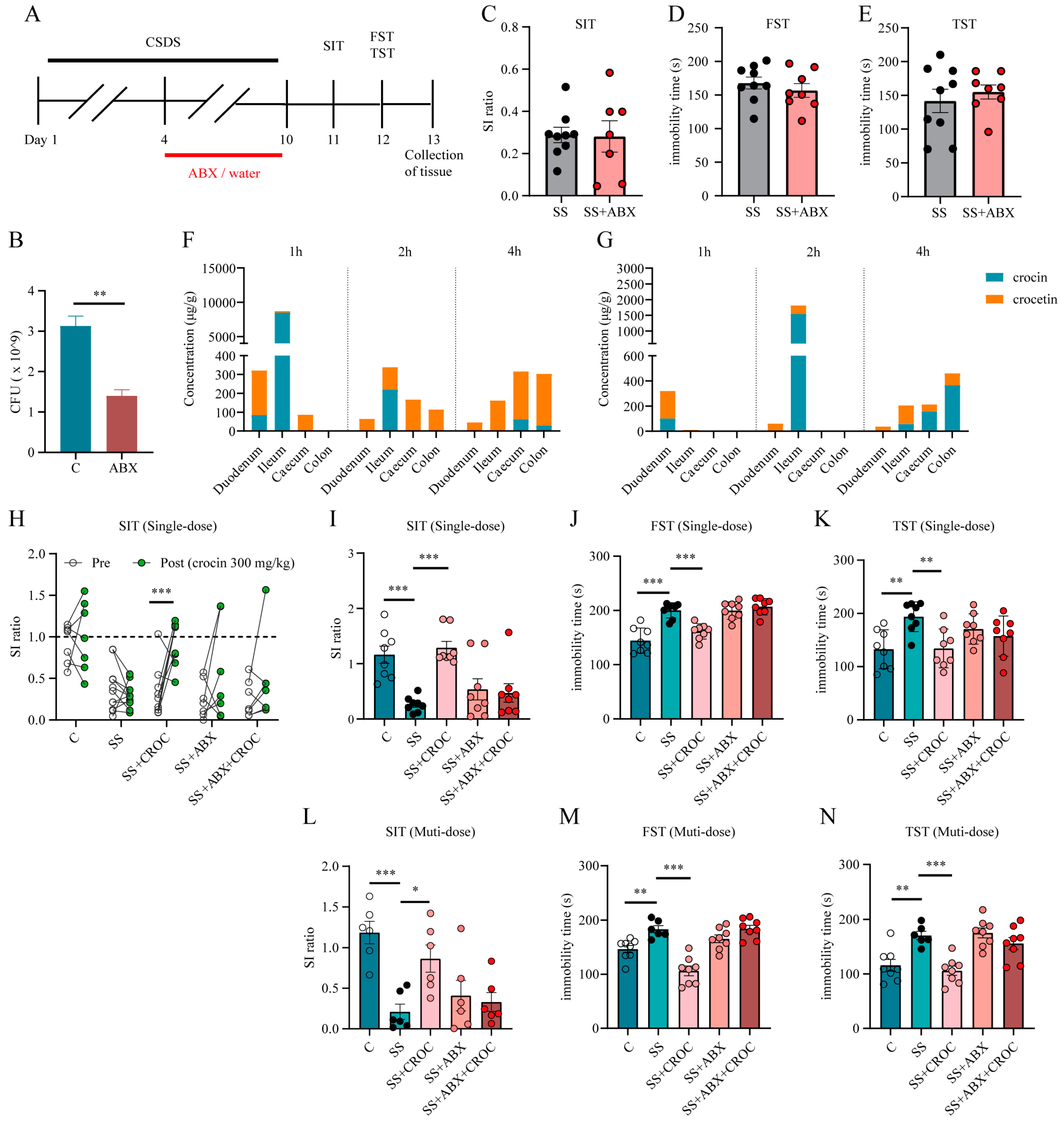 Pharmaceuticals 17 00843 g005