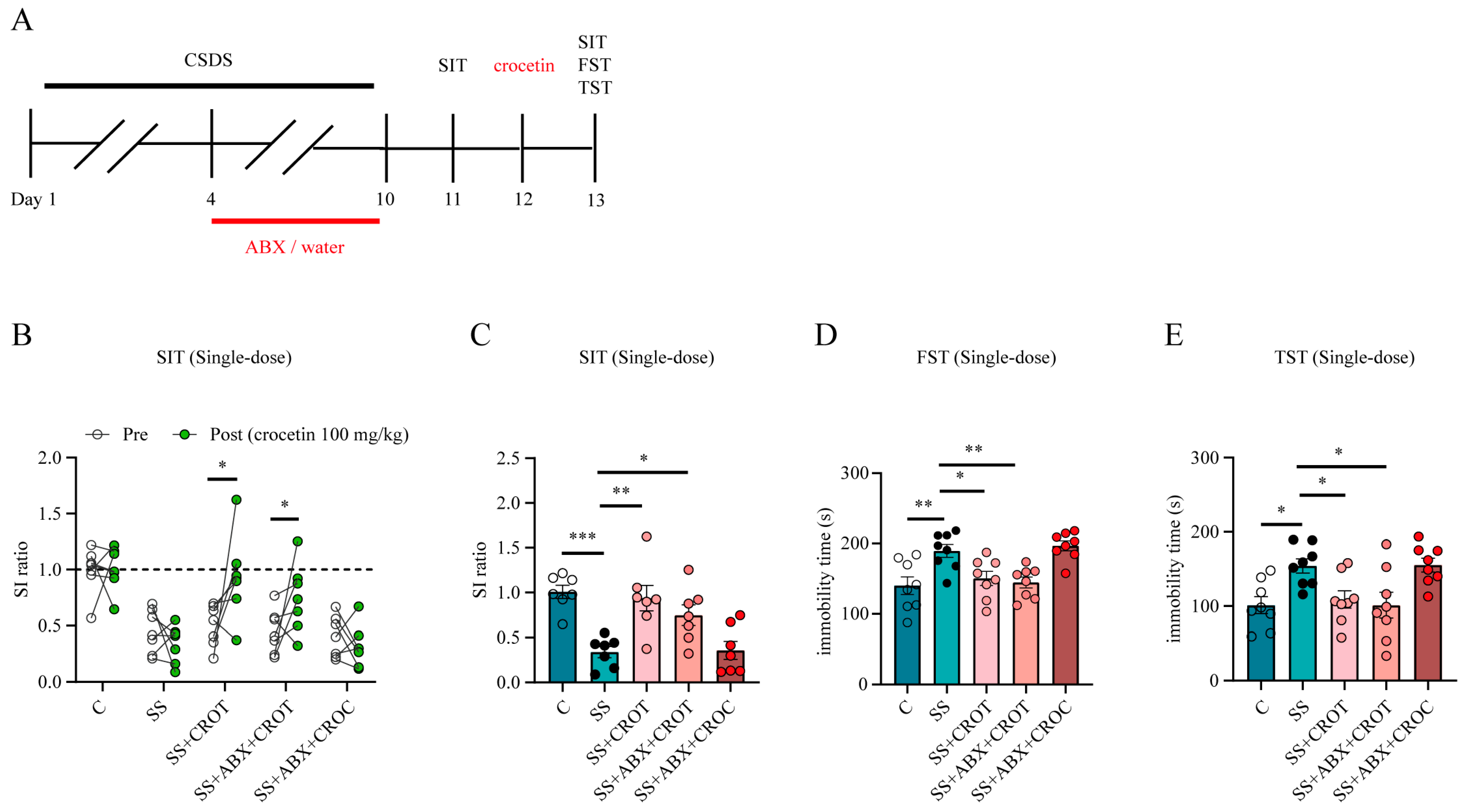 Pharmaceuticals 17 00843 g006
