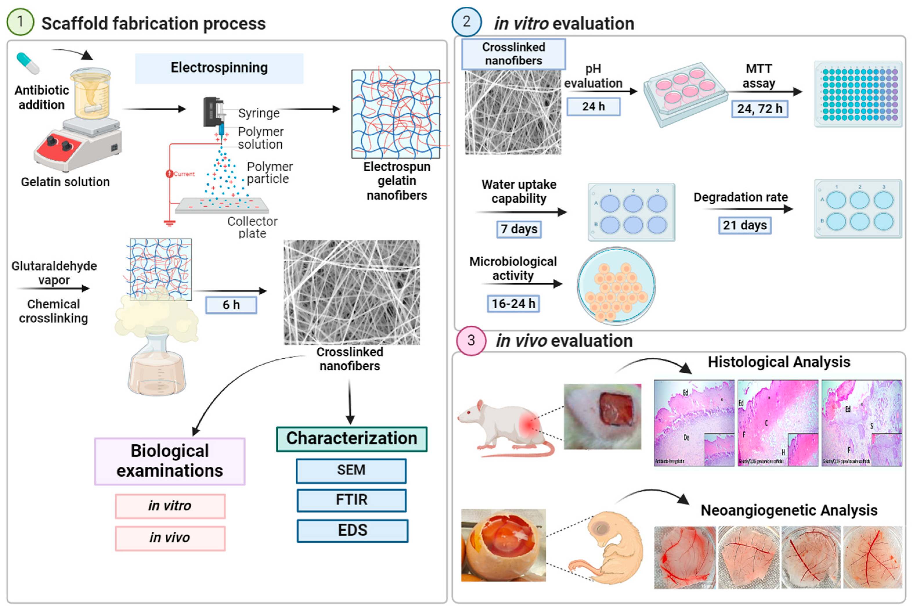 Pharmaceuticals 17 00851 g001