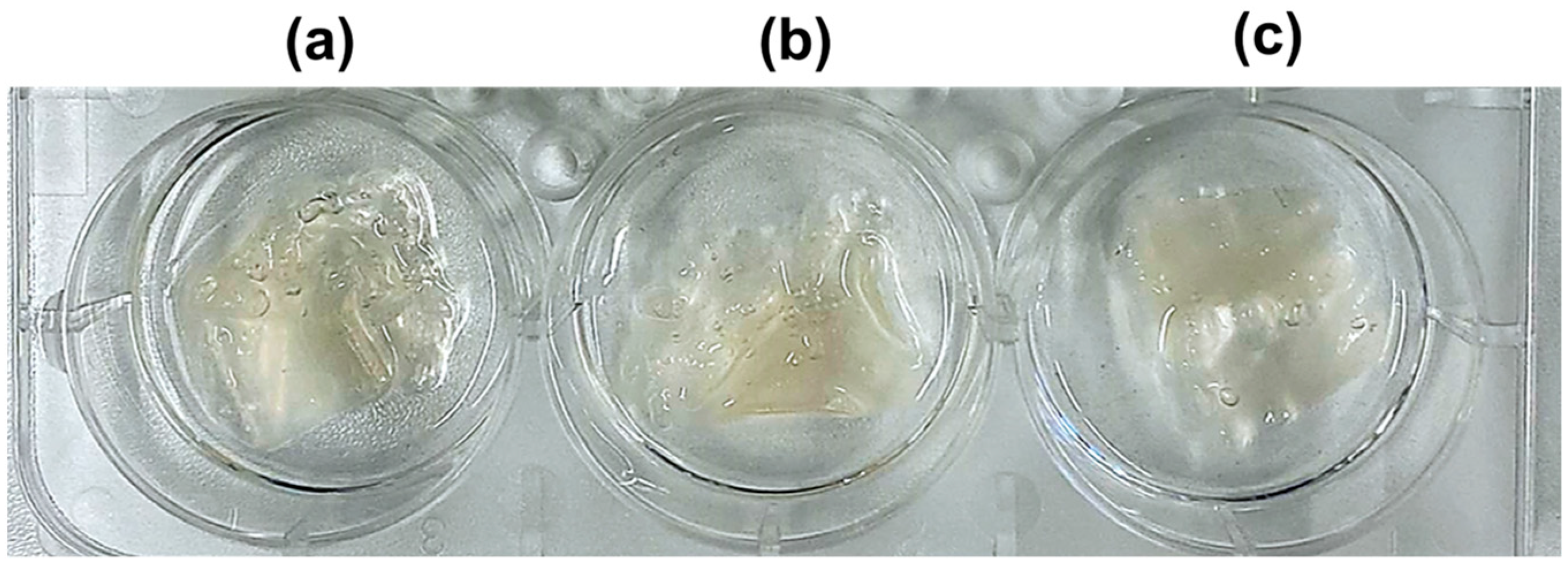 Pharmaceuticals 17 00851 g002