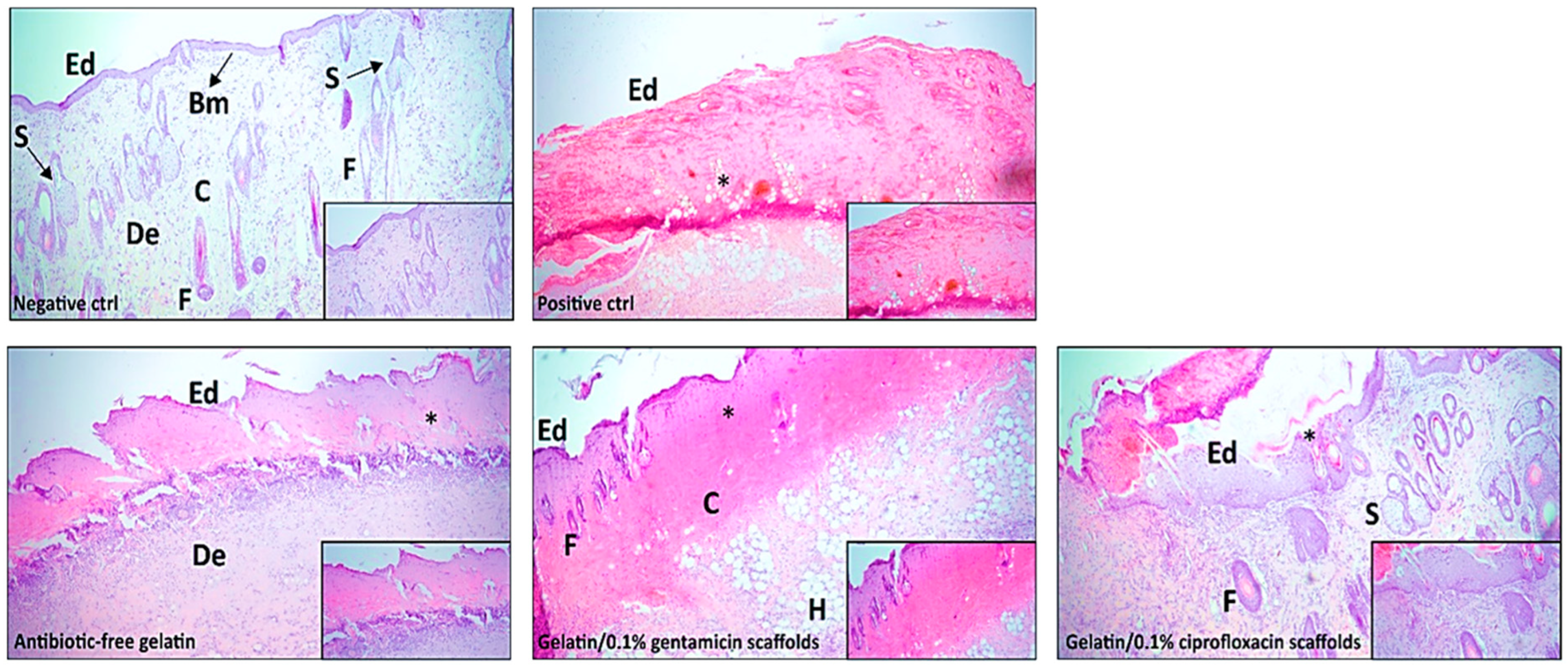 Pharmaceuticals 17 00851 g010