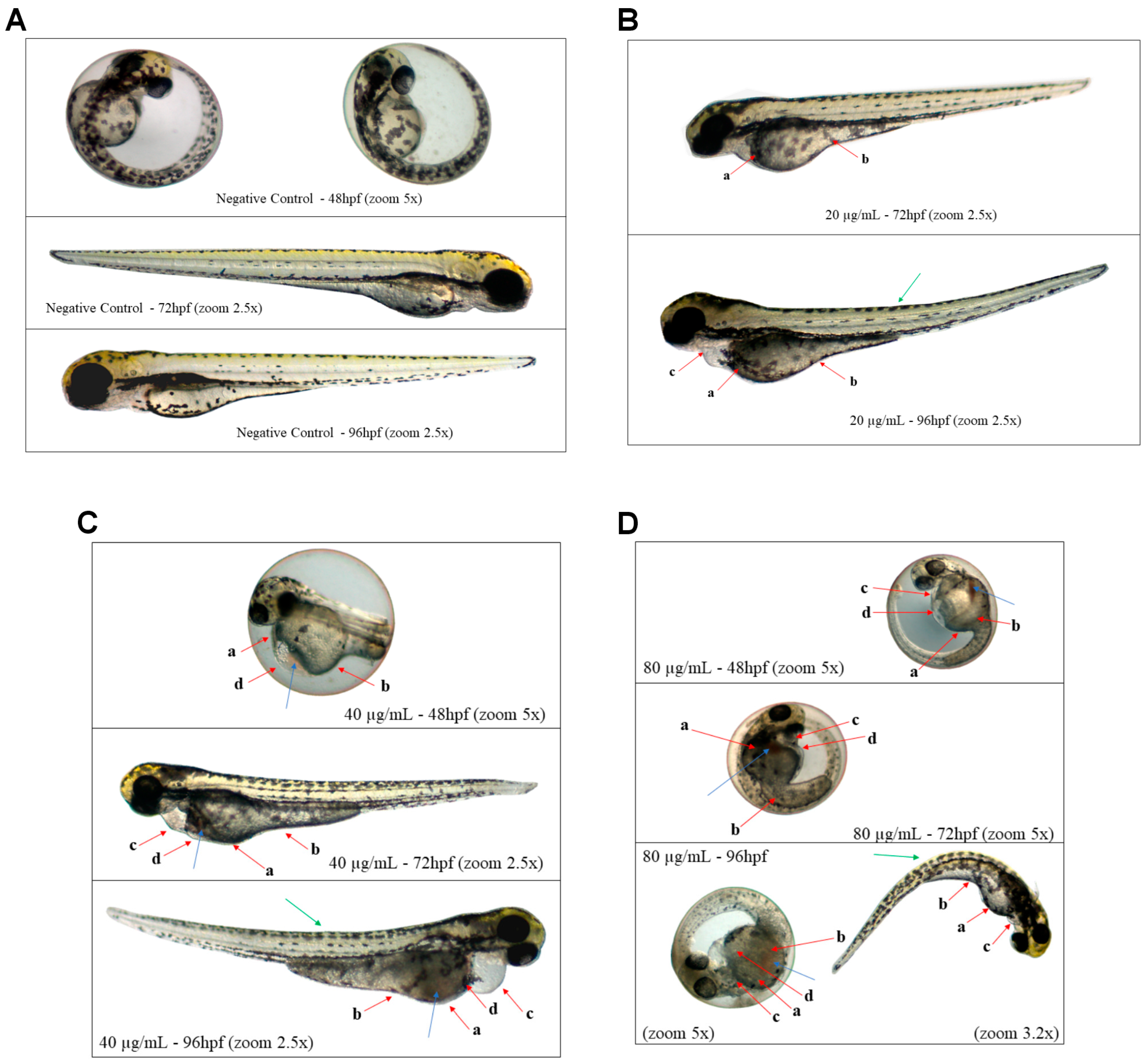 Pharmaceuticals 17 00855 g006