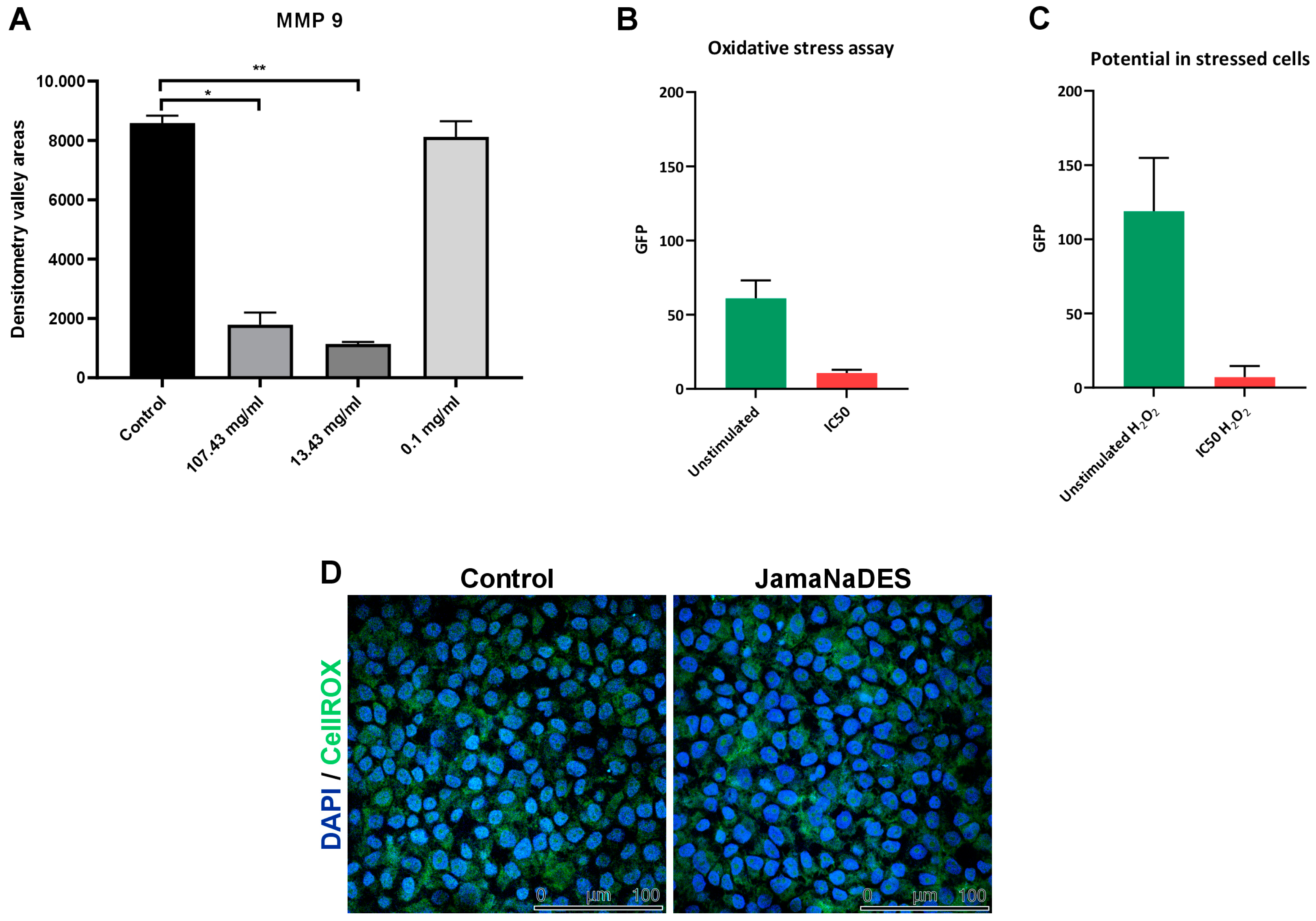 Pharmaceuticals 17 00855 g007