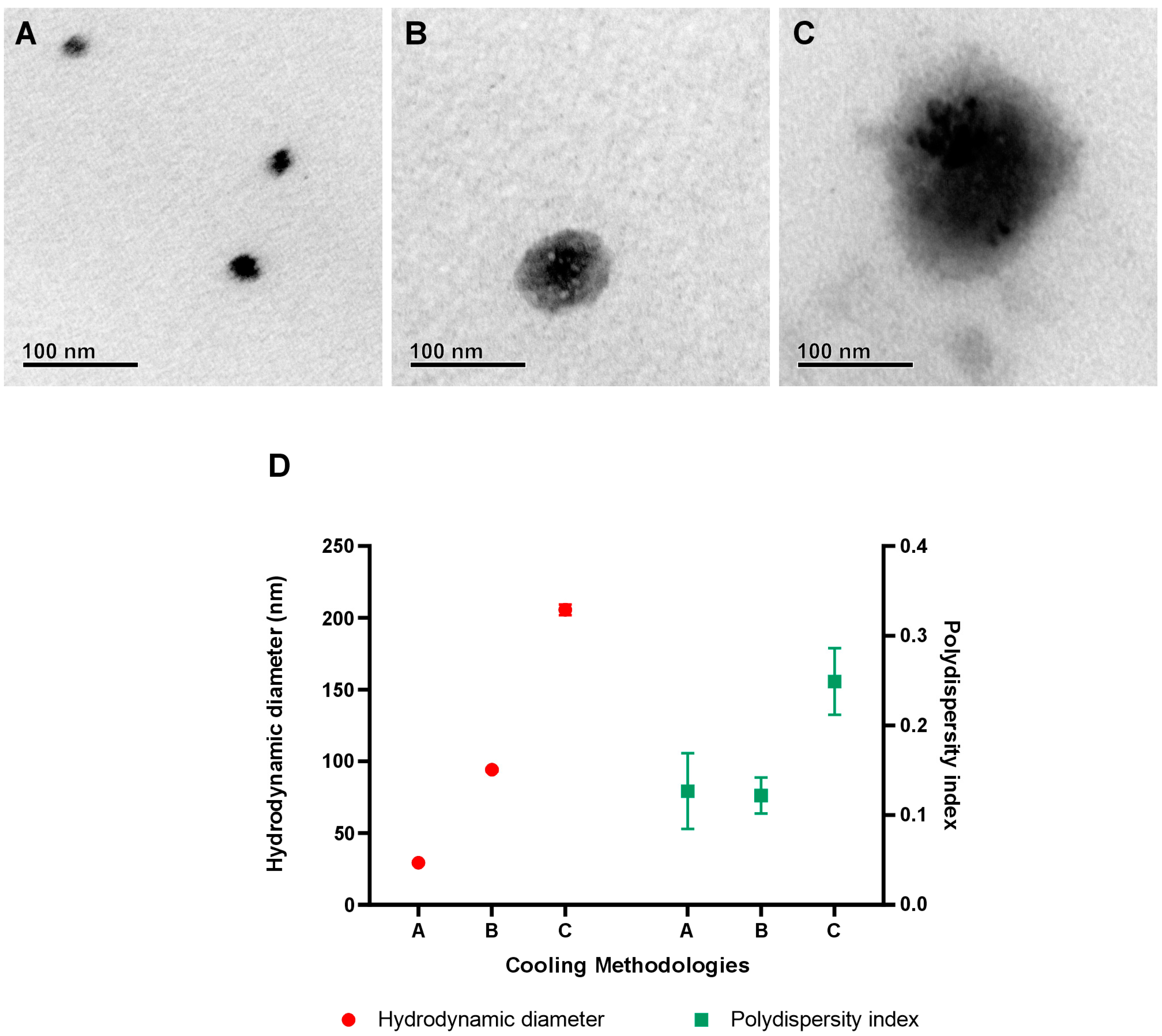 Pharmaceuticals 17 00855 g008