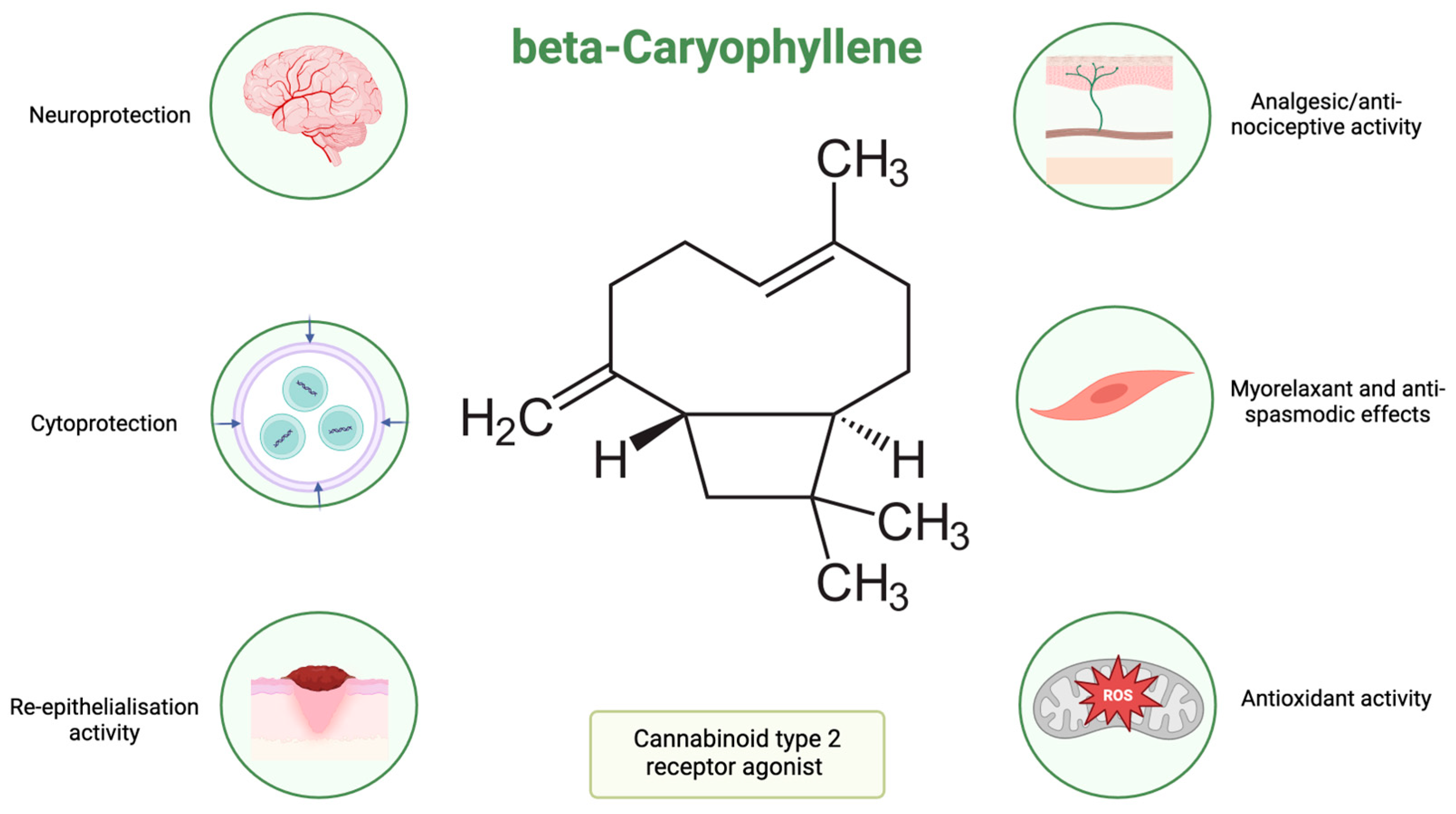 Pharmaceuticals 17 00859 g001 Pharmaceuticals 17 00859 g001
