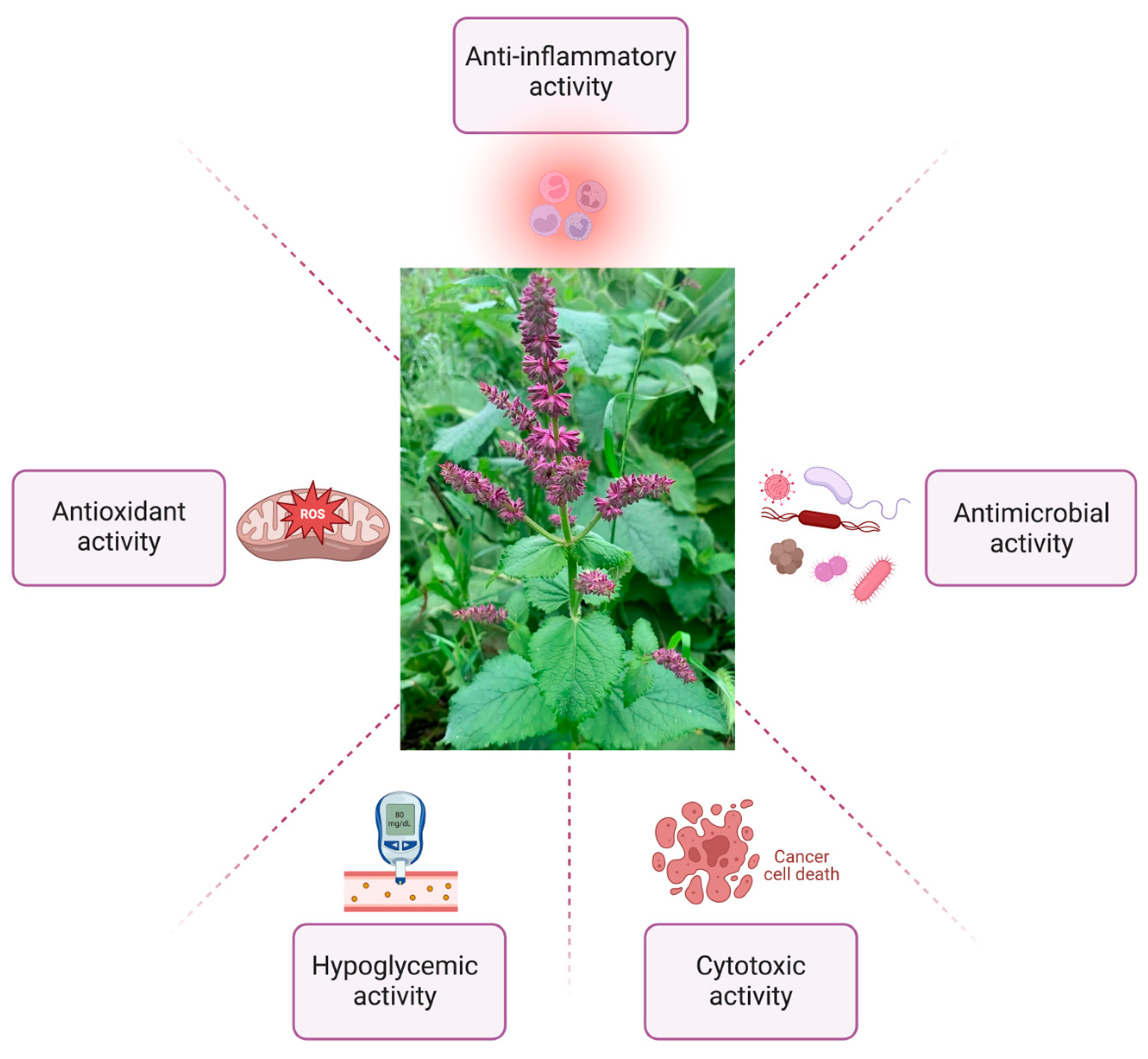 Pharmaceuticals 17 00859 g002 Pharmaceuticals 17 00859 g002