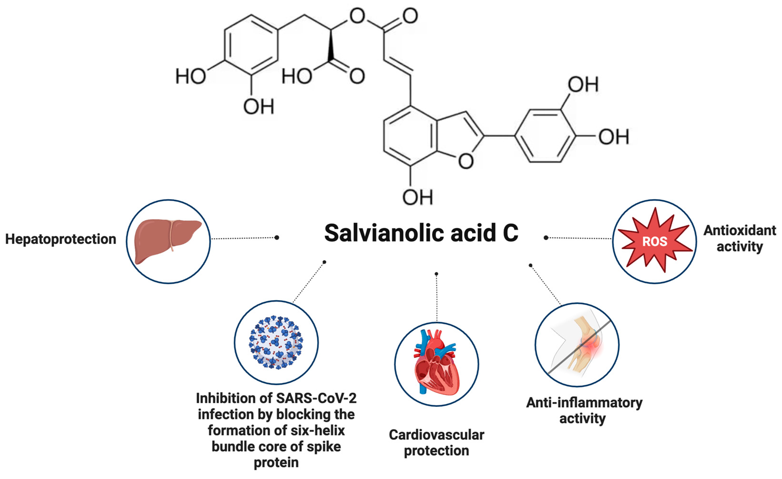 Pharmaceuticals 17 00859 g003 Pharmaceuticals 17 00859 g003