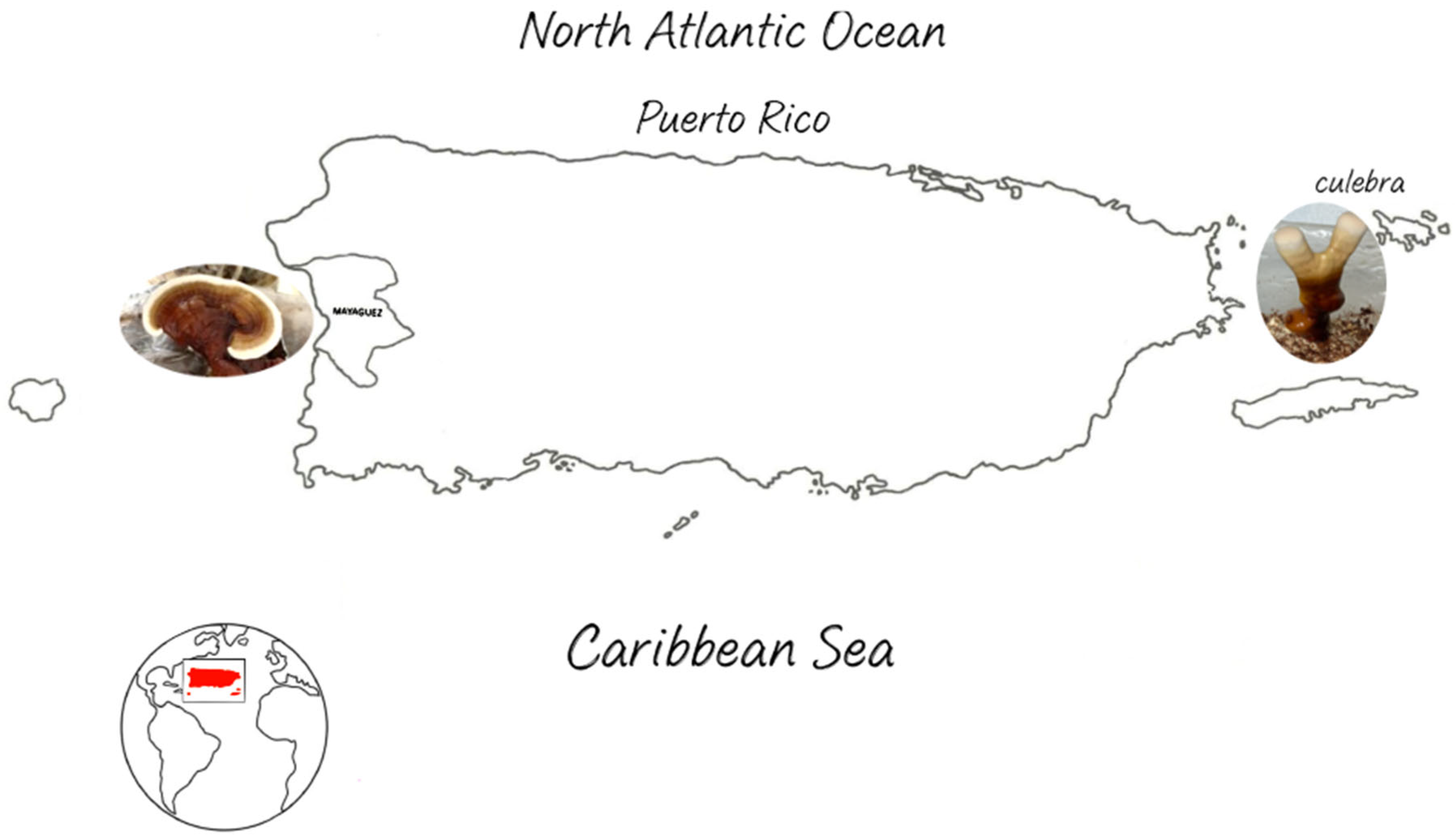 Pharmaceuticals 17 00864 g001 Pharmaceuticals 17 00864 g001