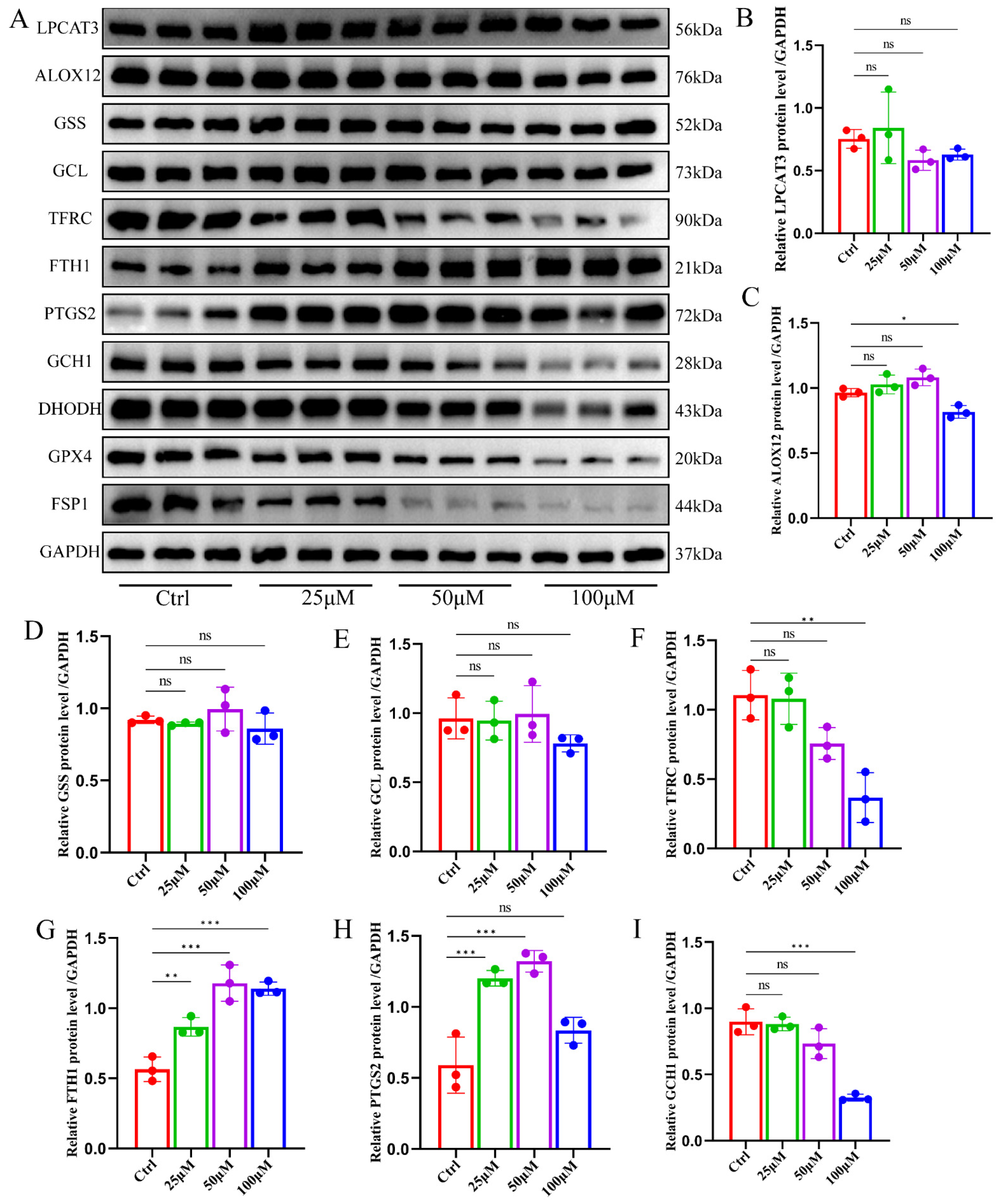 Pharmaceuticals 17 00871 g003a