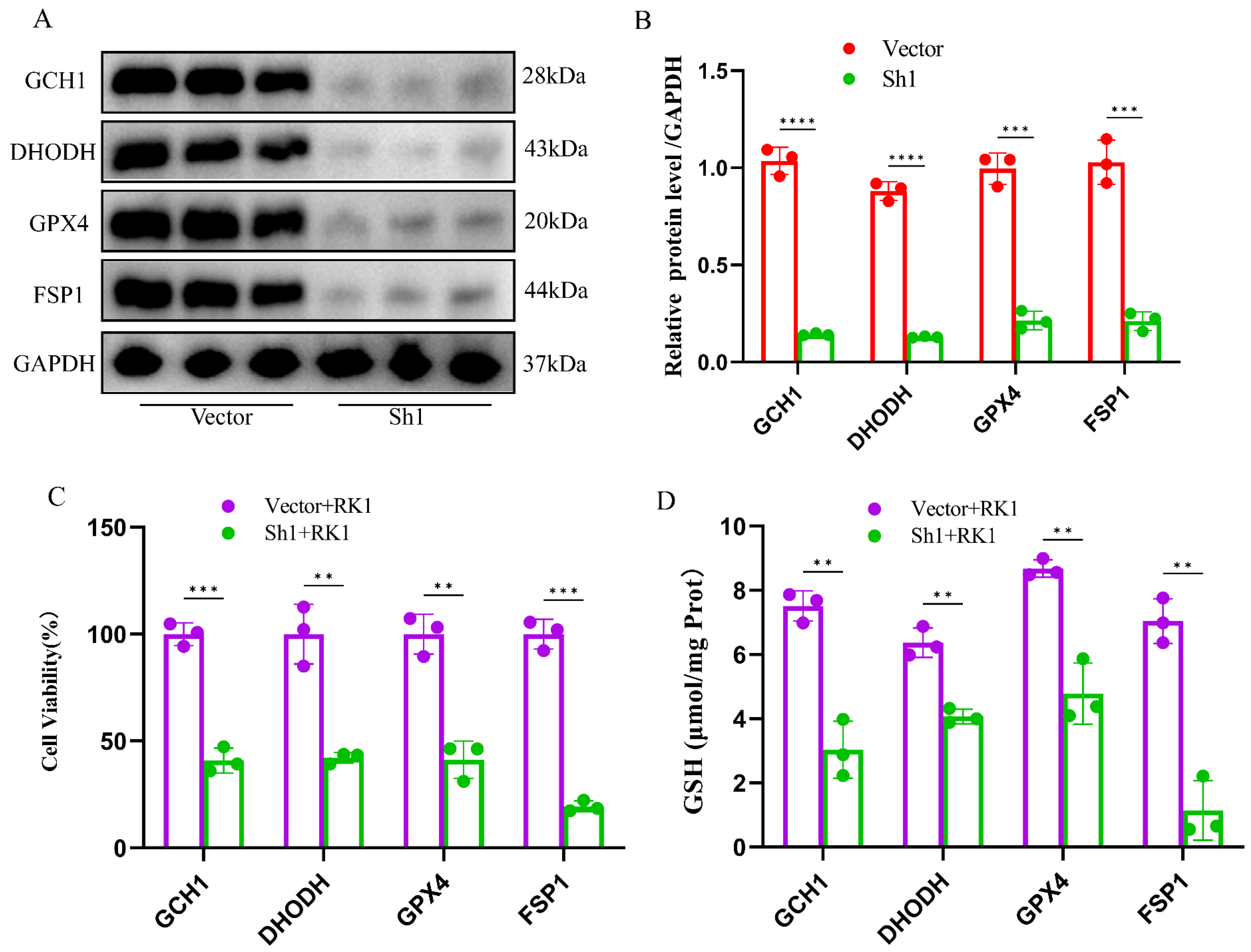 Pharmaceuticals 17 00871 g006a
