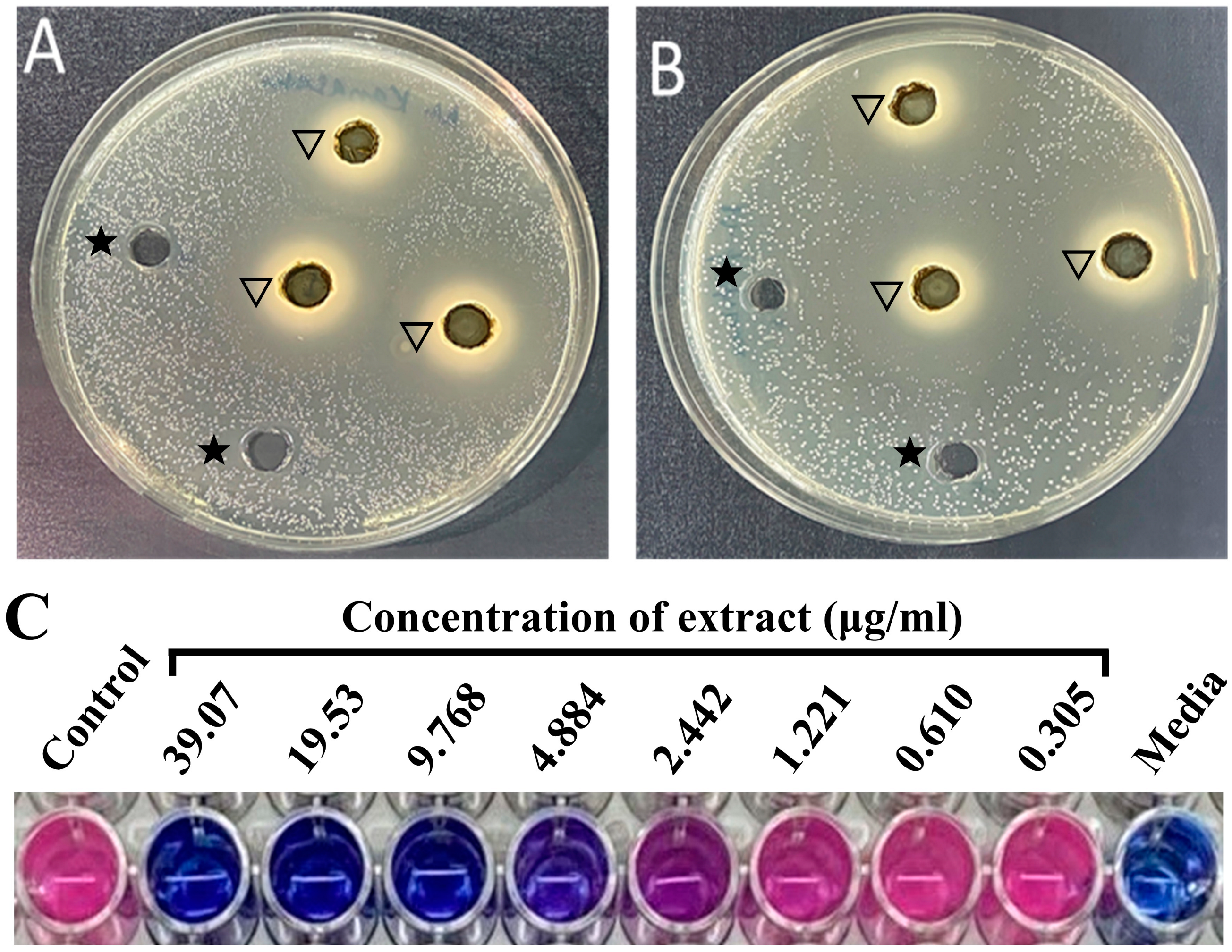 Pharmaceuticals 17 00872 g001