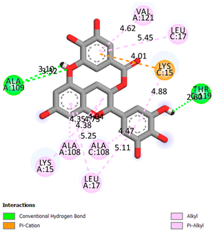 Pharmaceuticals 17 00877 i007