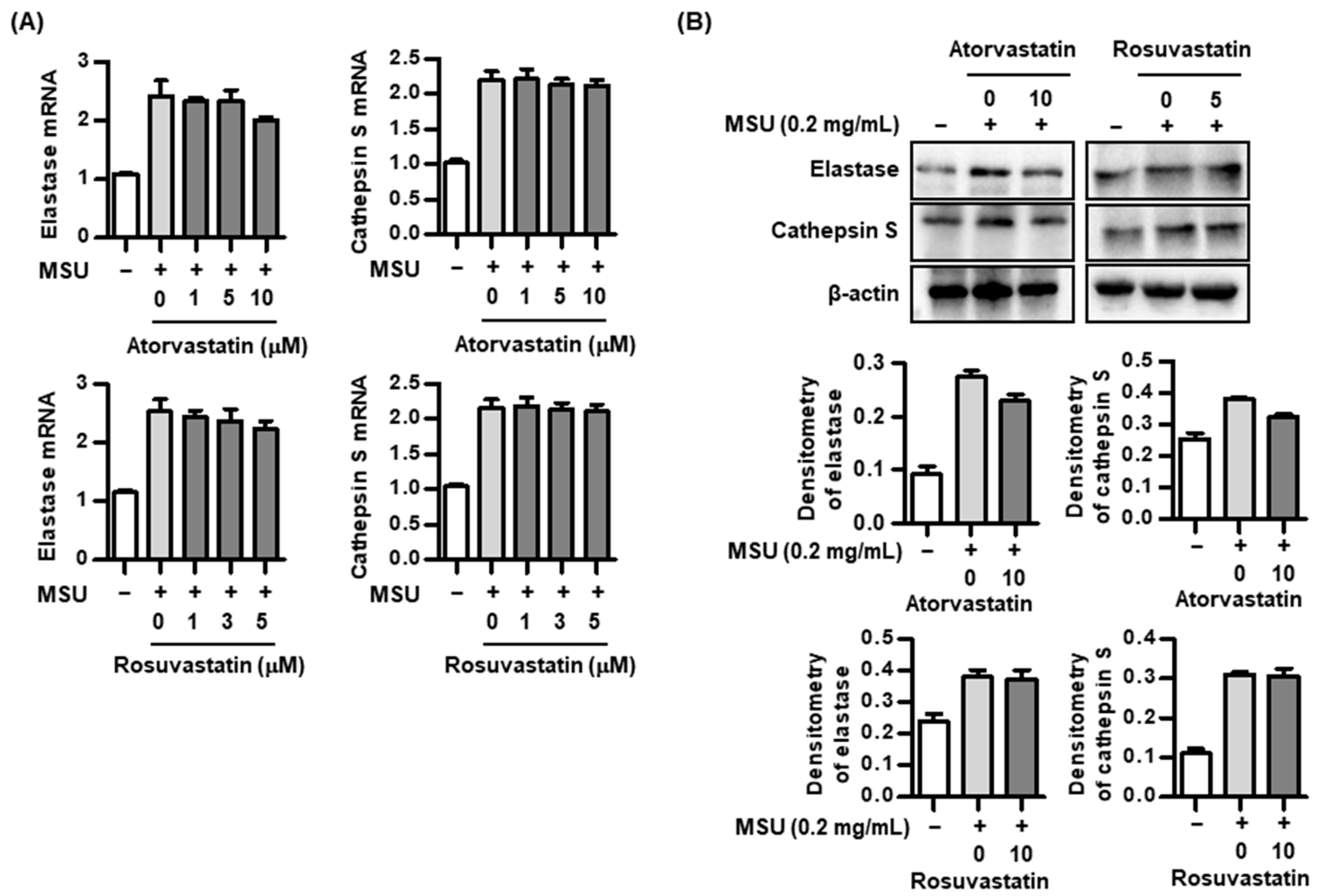 Pharmaceuticals 17 00883 g004