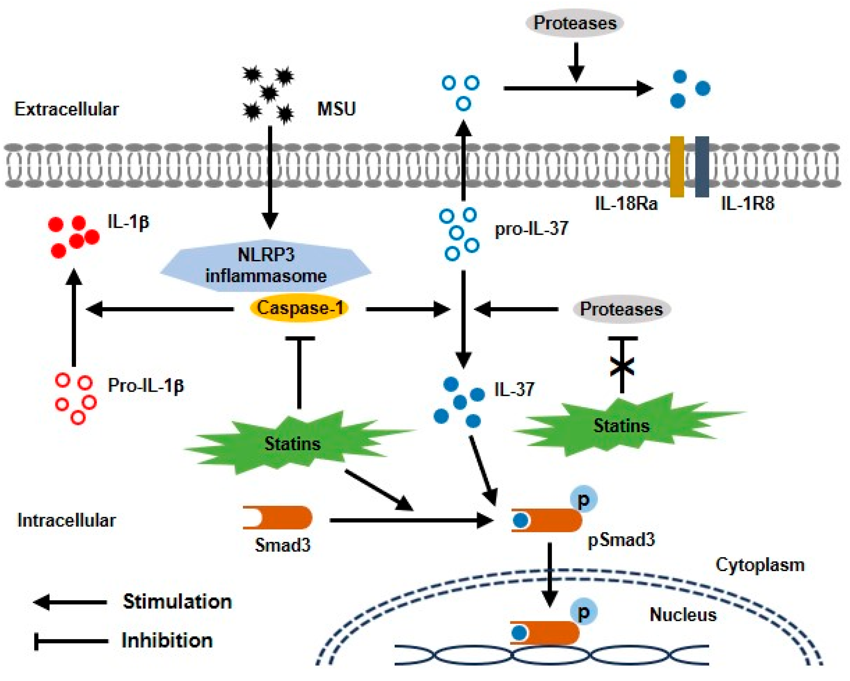 Pharmaceuticals 17 00883 g005