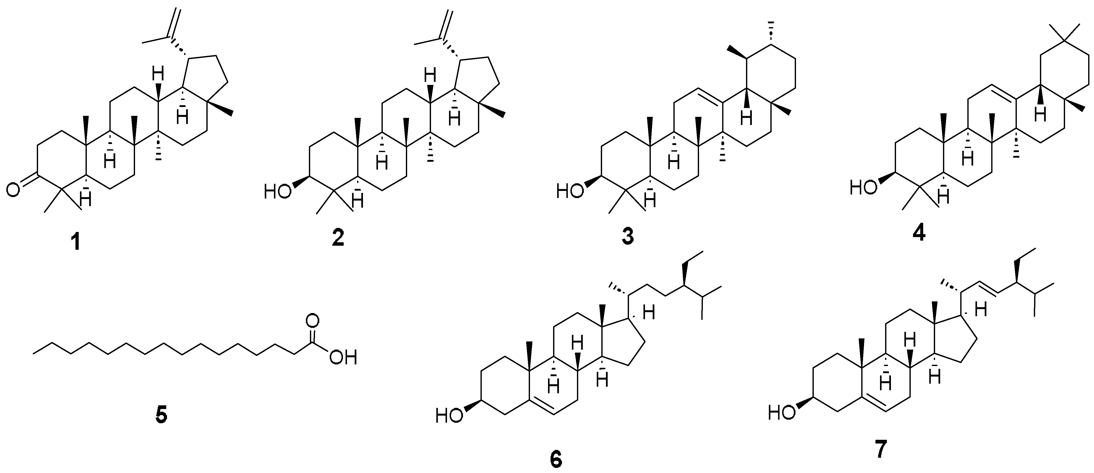 Pharmaceuticals 17 00890 g001
