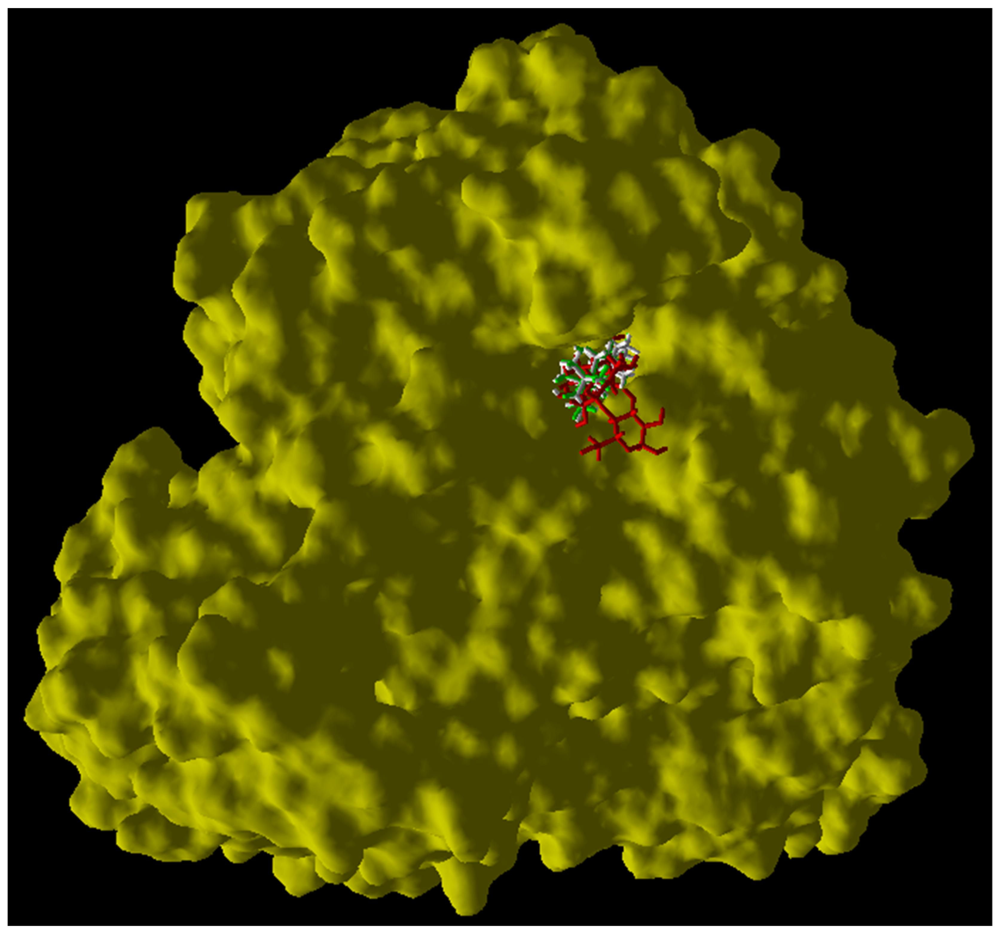 Pharmaceuticals 17 00890 g003