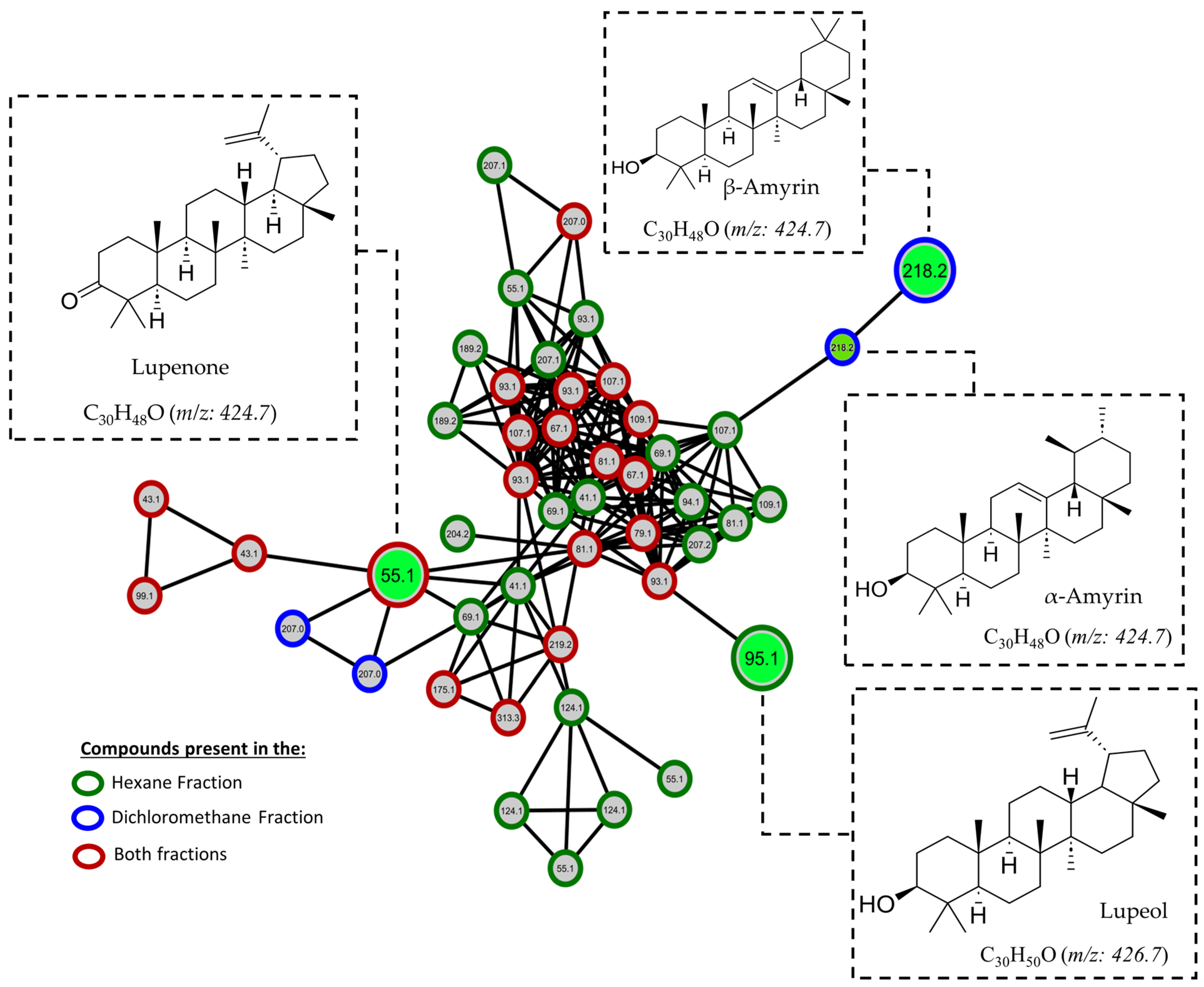 Pharmaceuticals 17 00890 g011