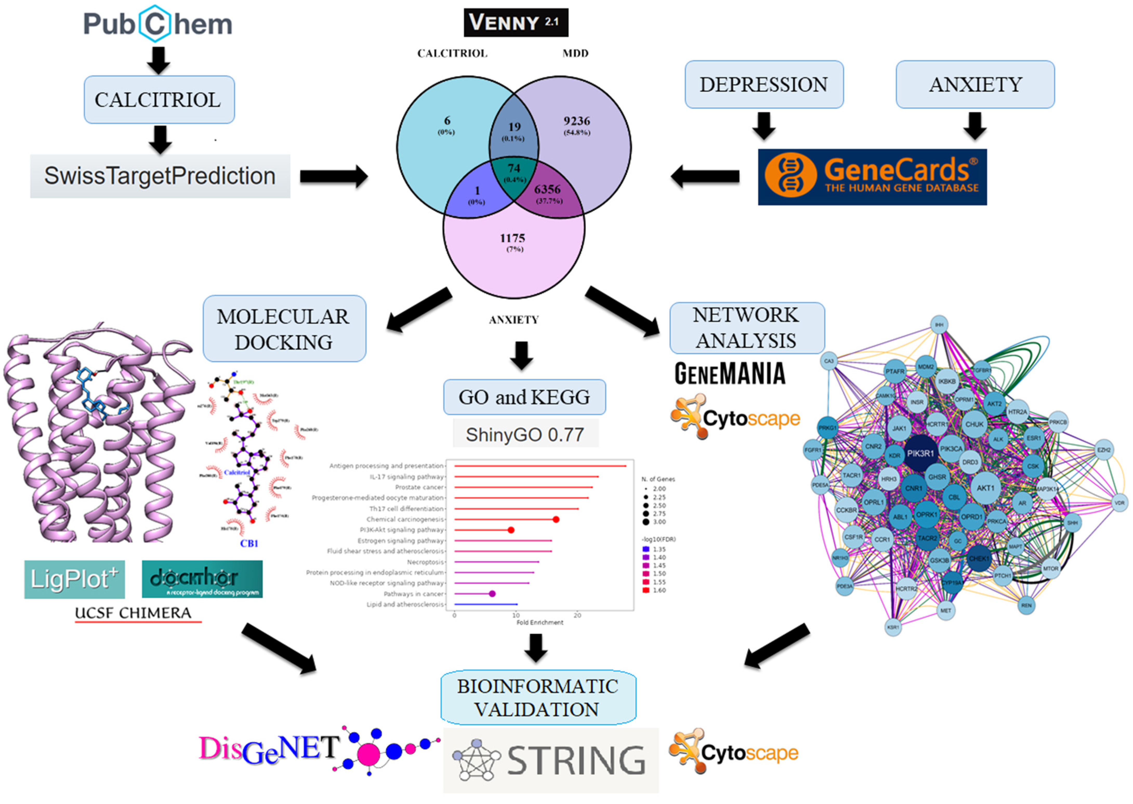 Pharmaceuticals 17 00893 g001