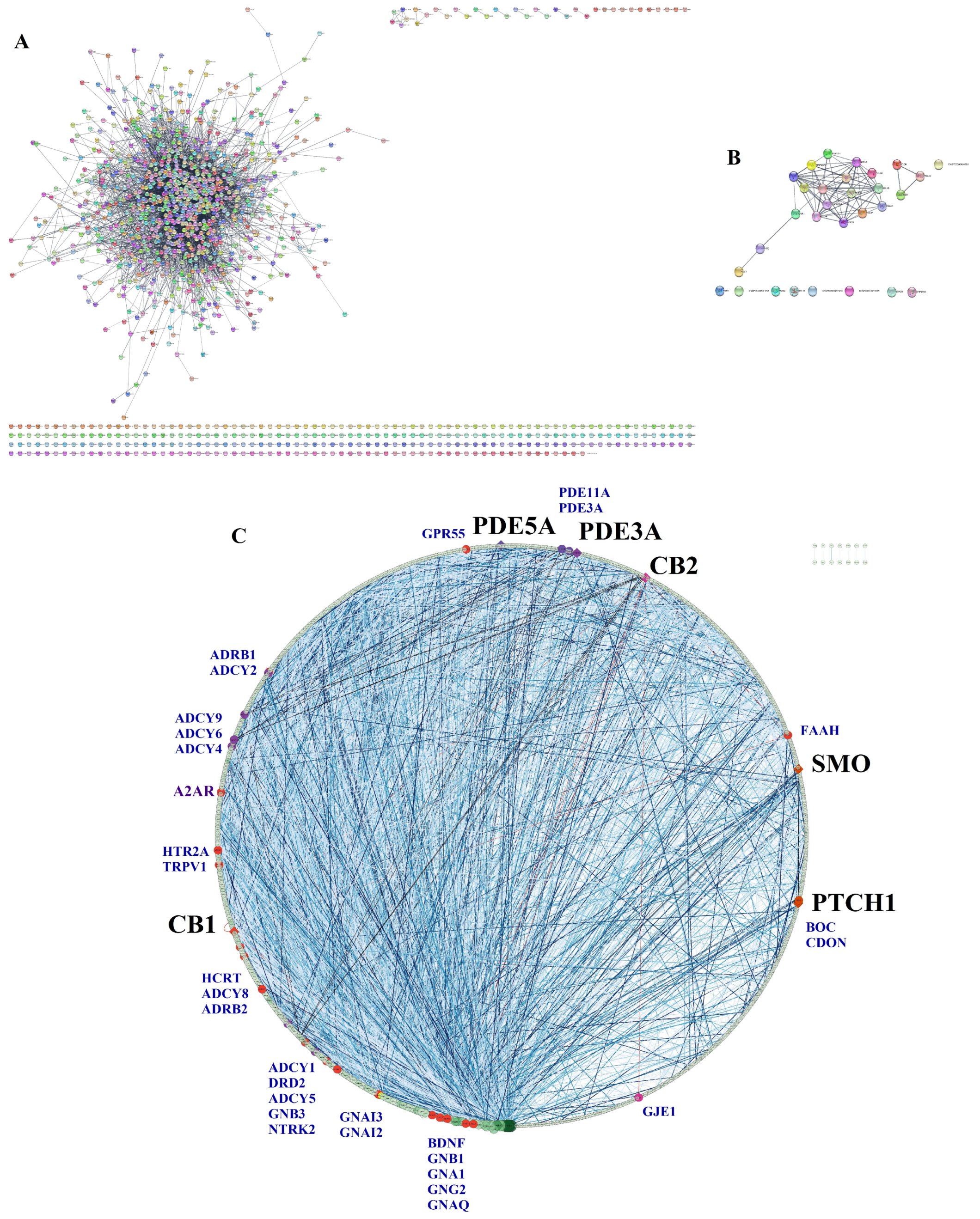 Pharmaceuticals 17 00893 g011