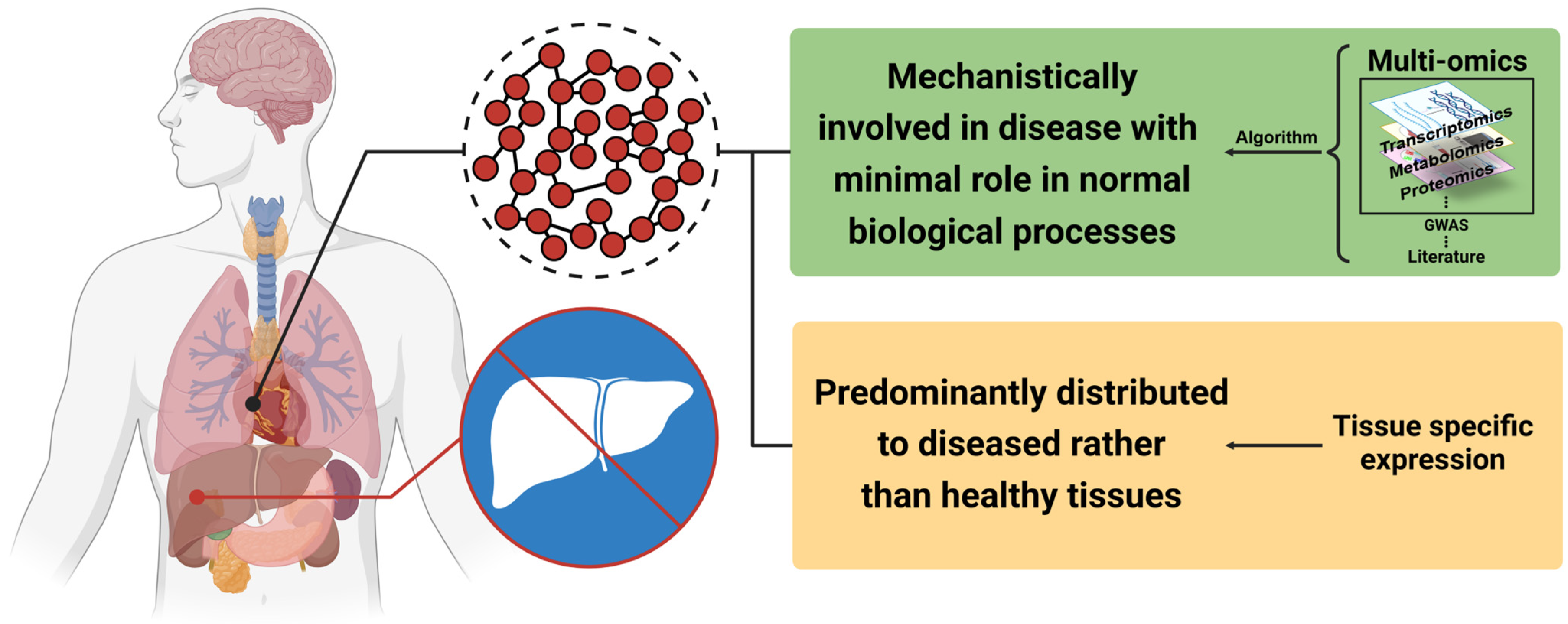 Pharmaceuticals 17 00899 g004