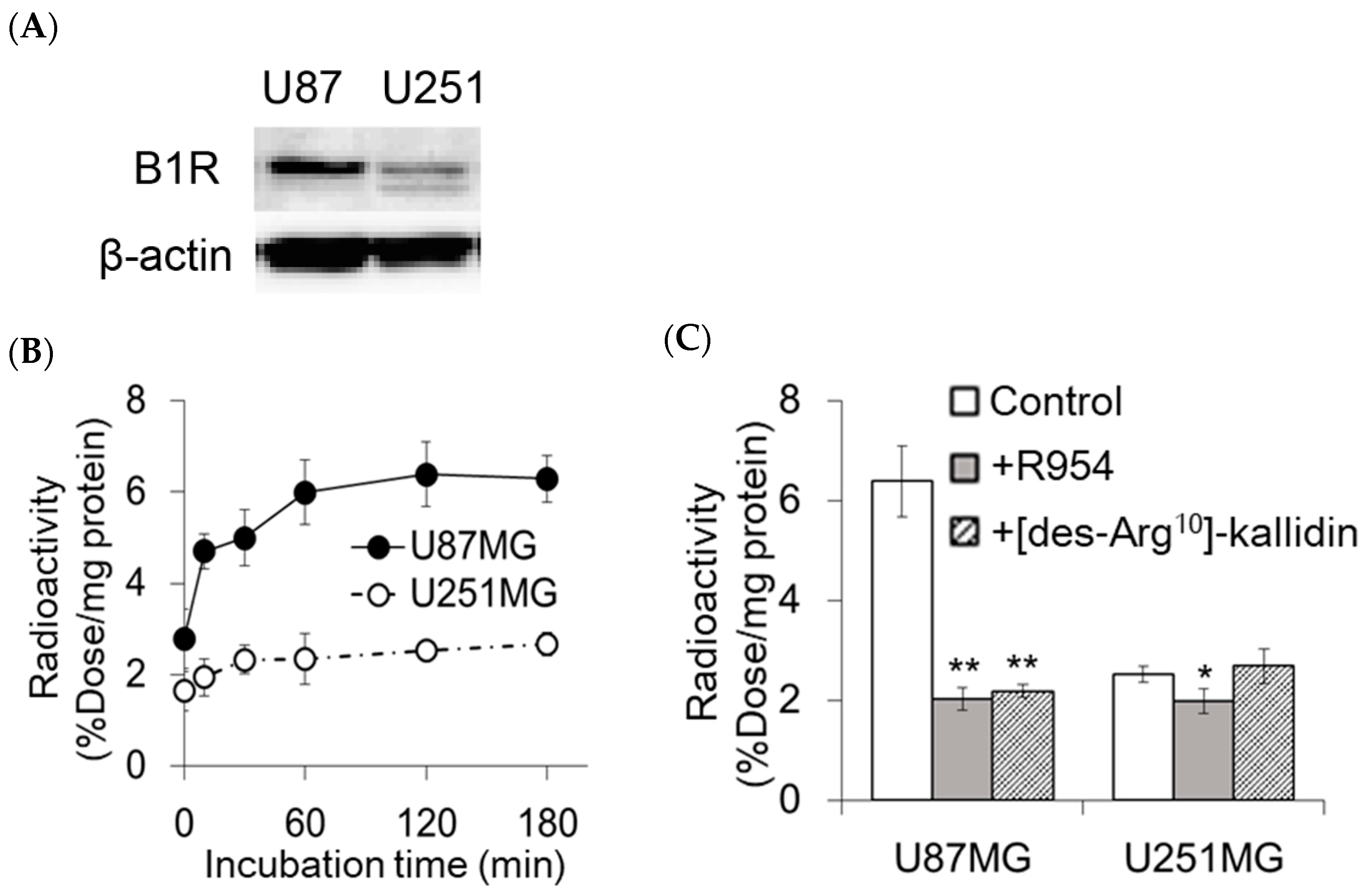 Pharmaceuticals 17 00902 g002 Pharmaceuticals 17 00902 g002