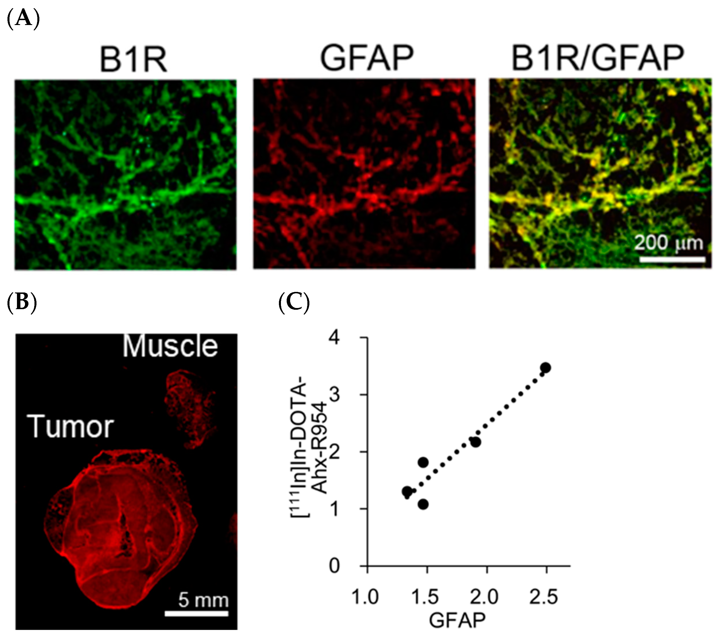 Pharmaceuticals 17 00902 g005 Pharmaceuticals 17 00902 g005