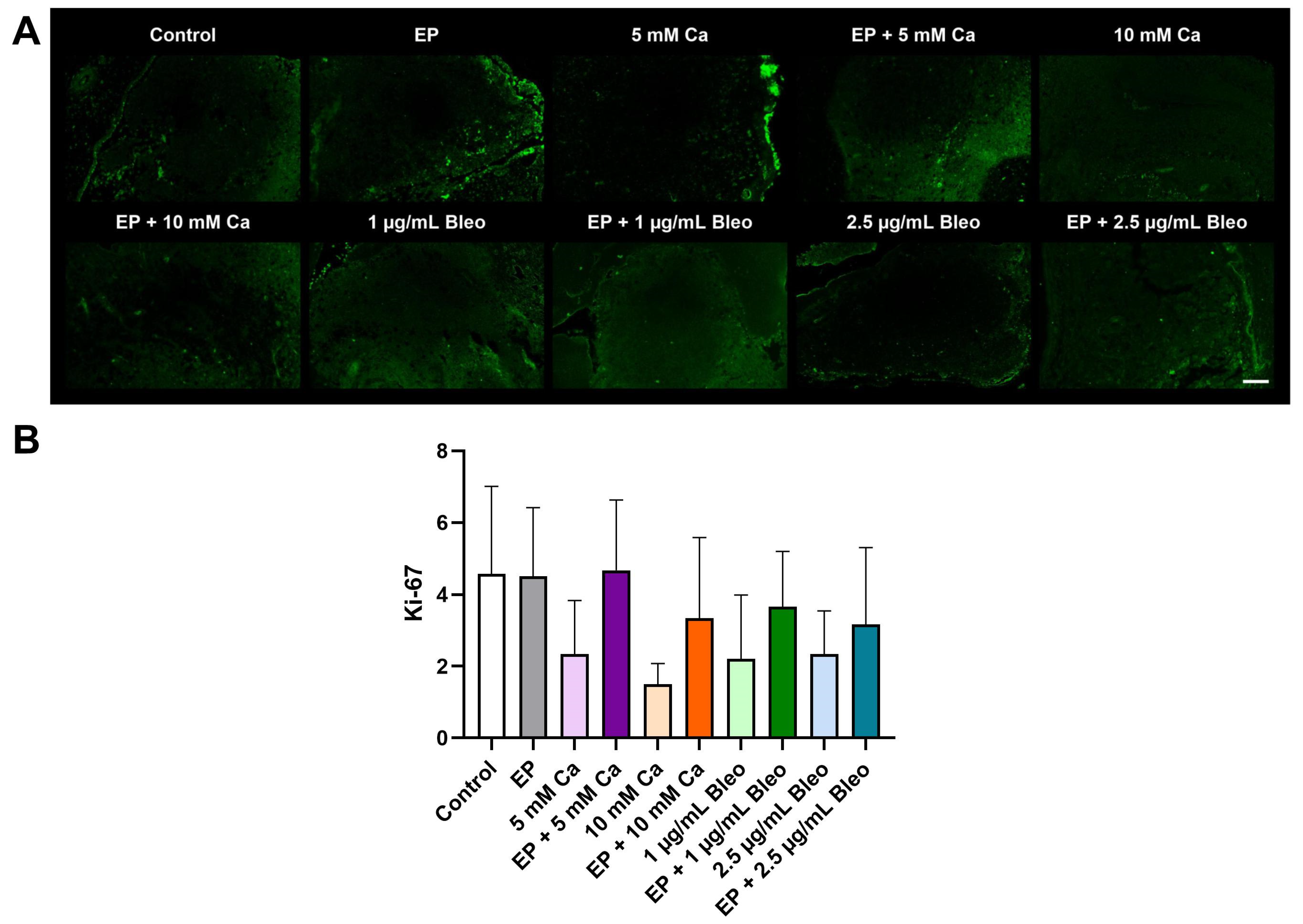 Pharmaceuticals 17 00905 g004