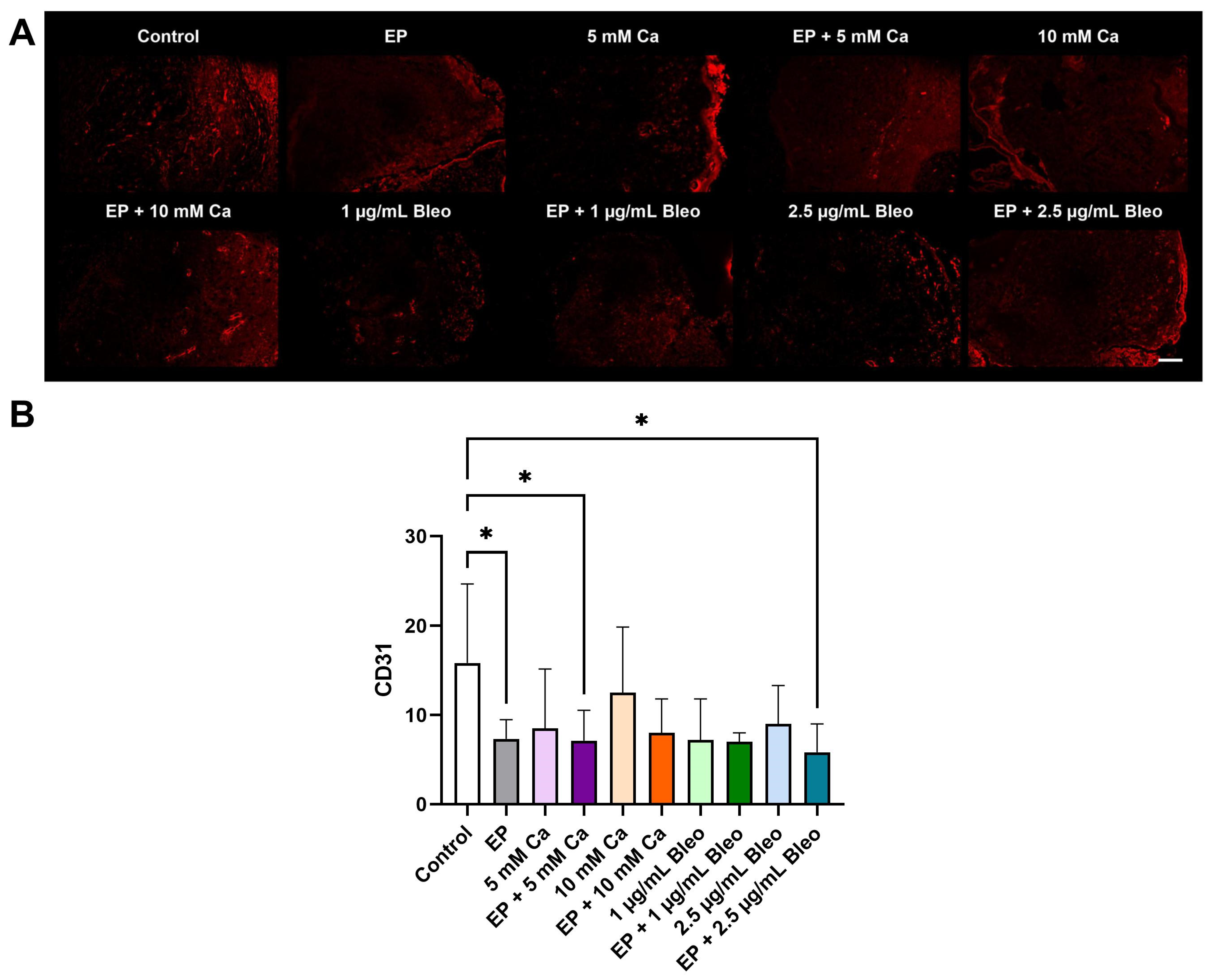 Pharmaceuticals 17 00905 g005