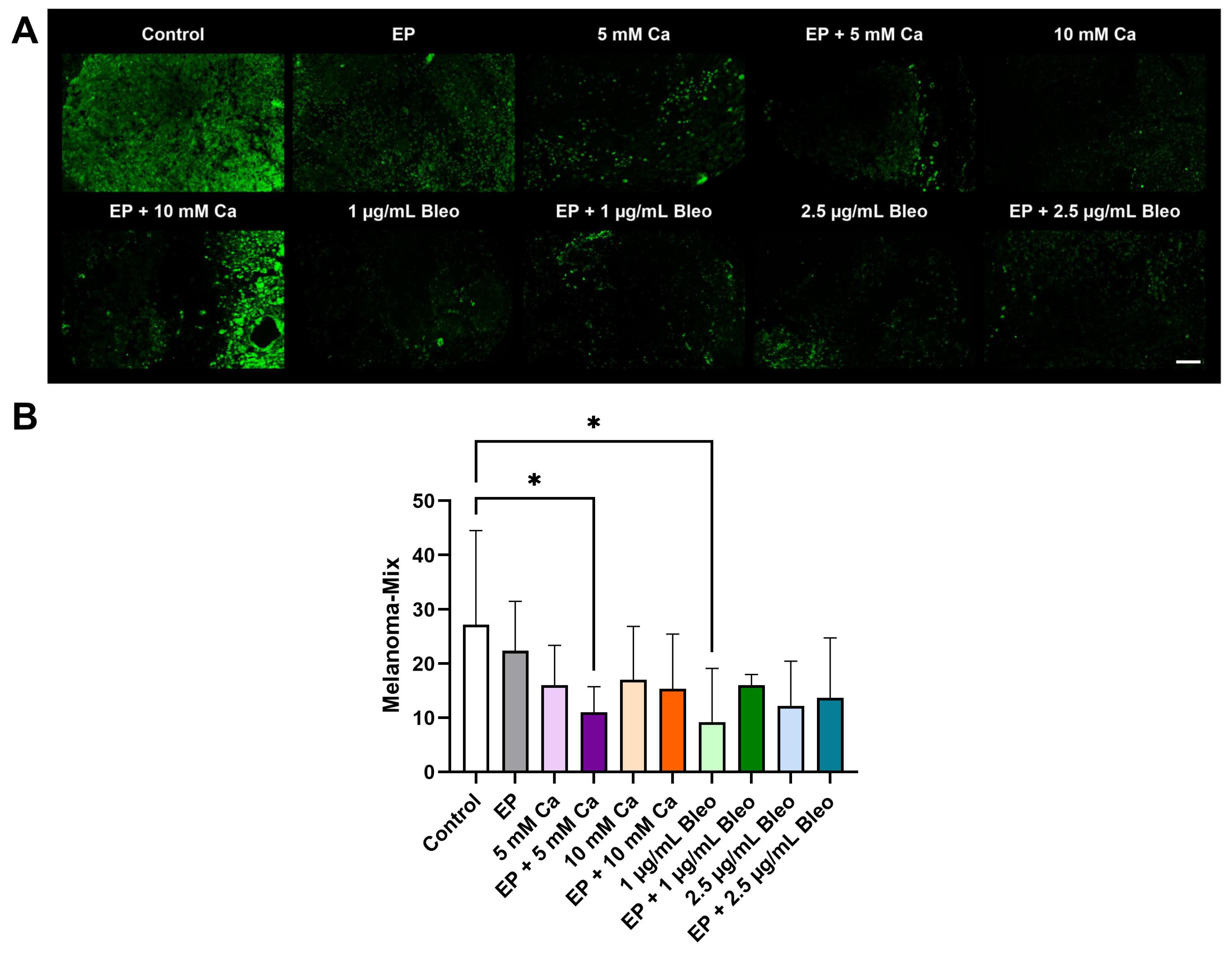Pharmaceuticals 17 00905 g006