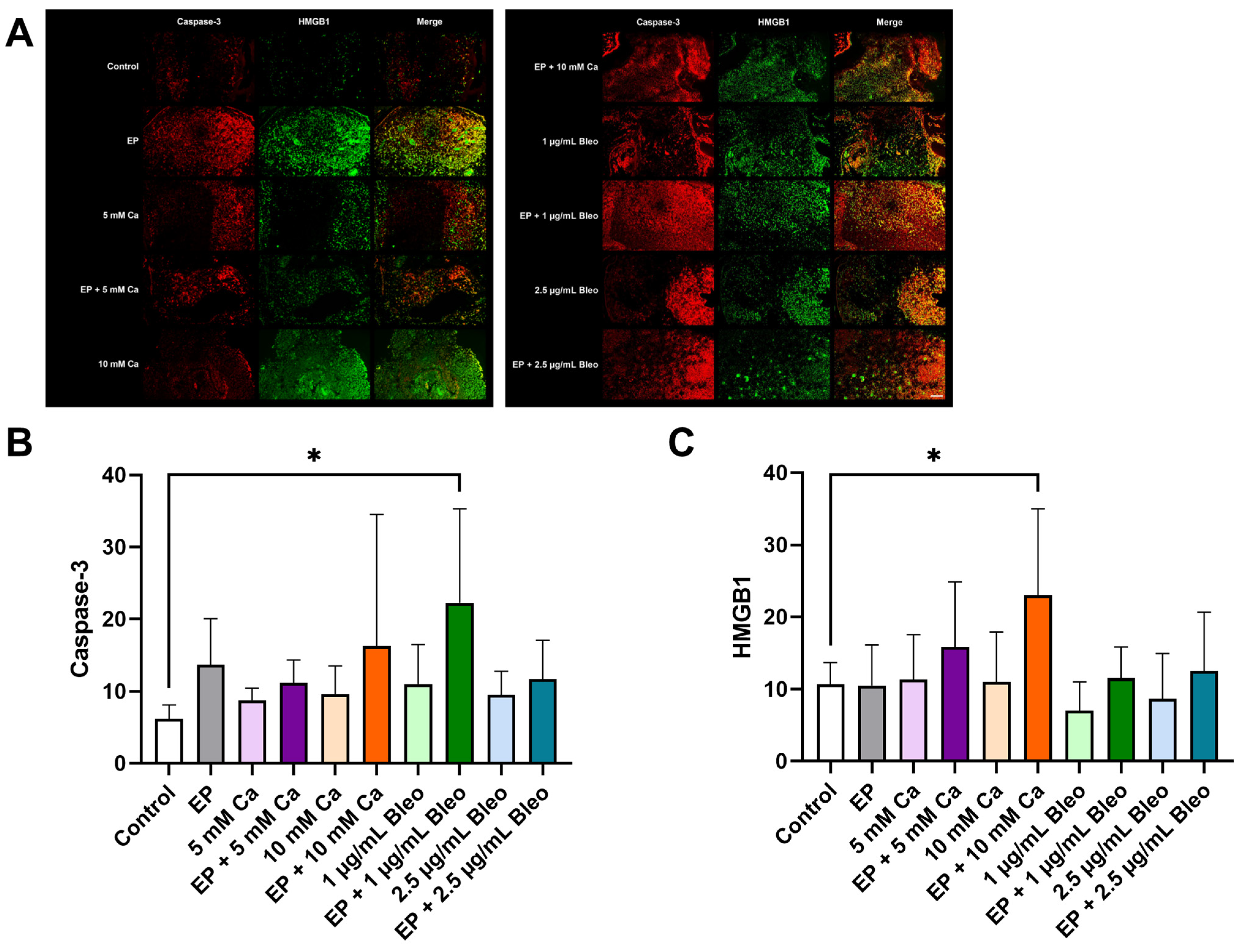 Pharmaceuticals 17 00905 g007