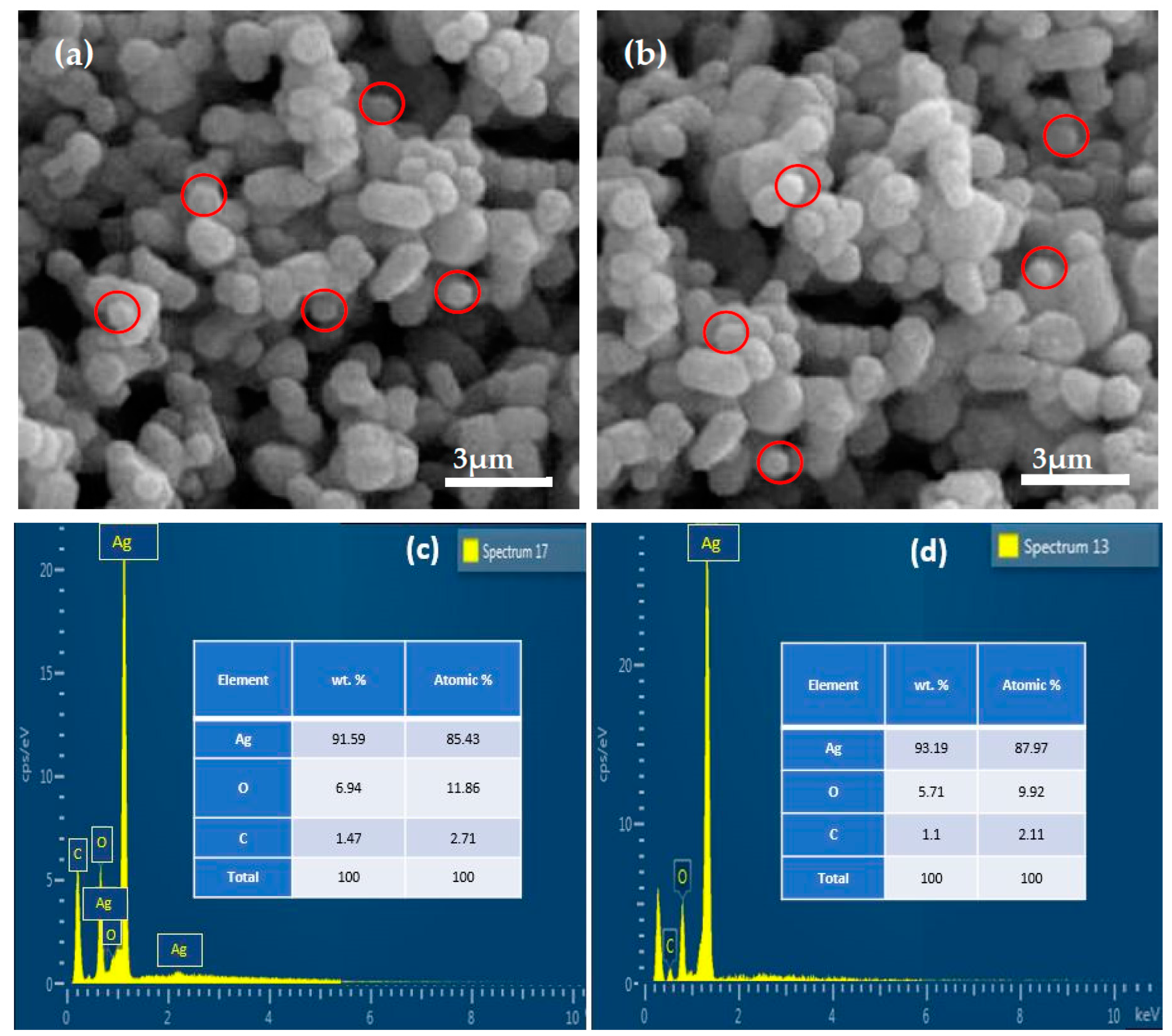 Pharmaceuticals 17 00908 g004