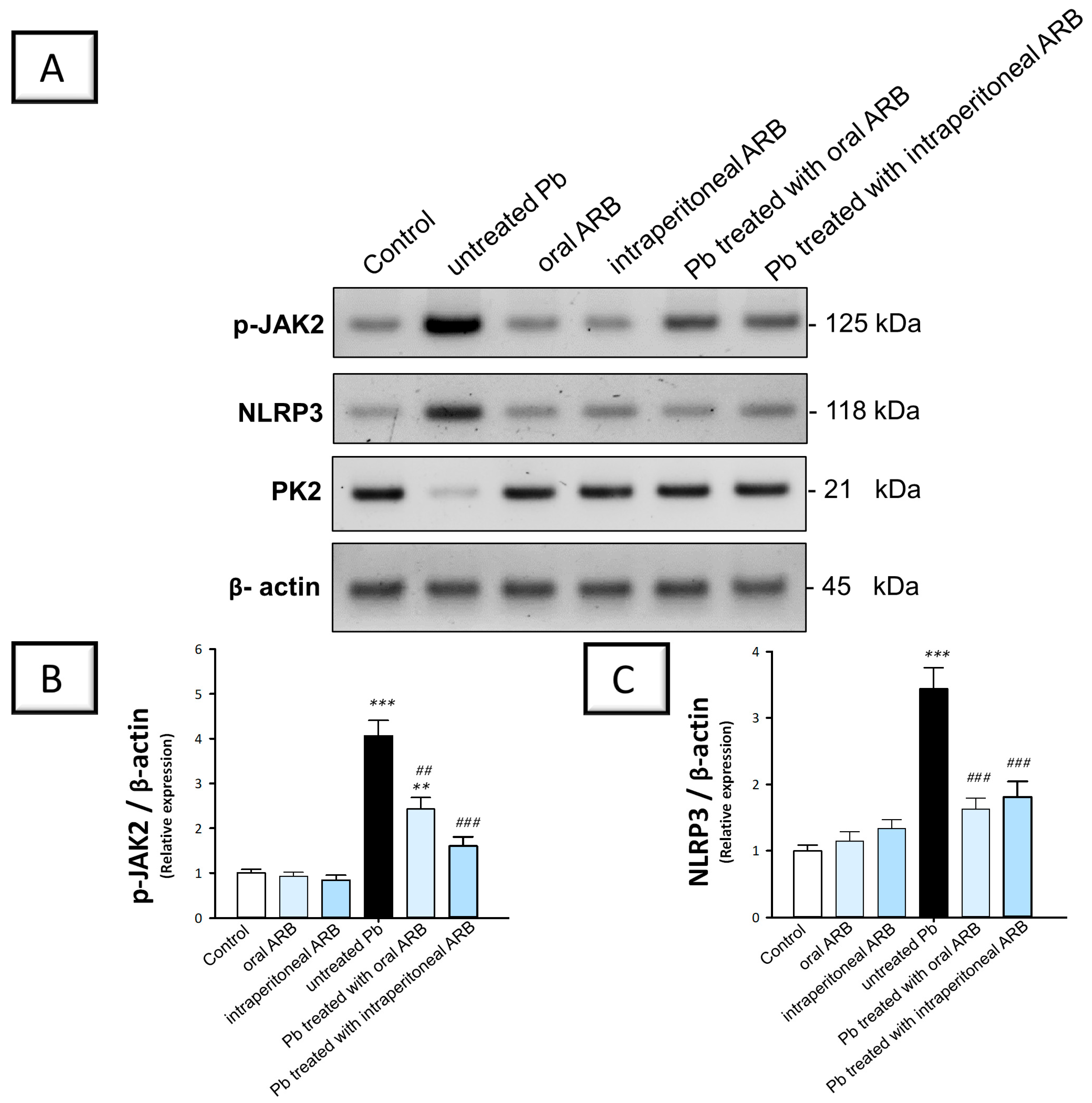 Pharmaceuticals 17 00909 g006a