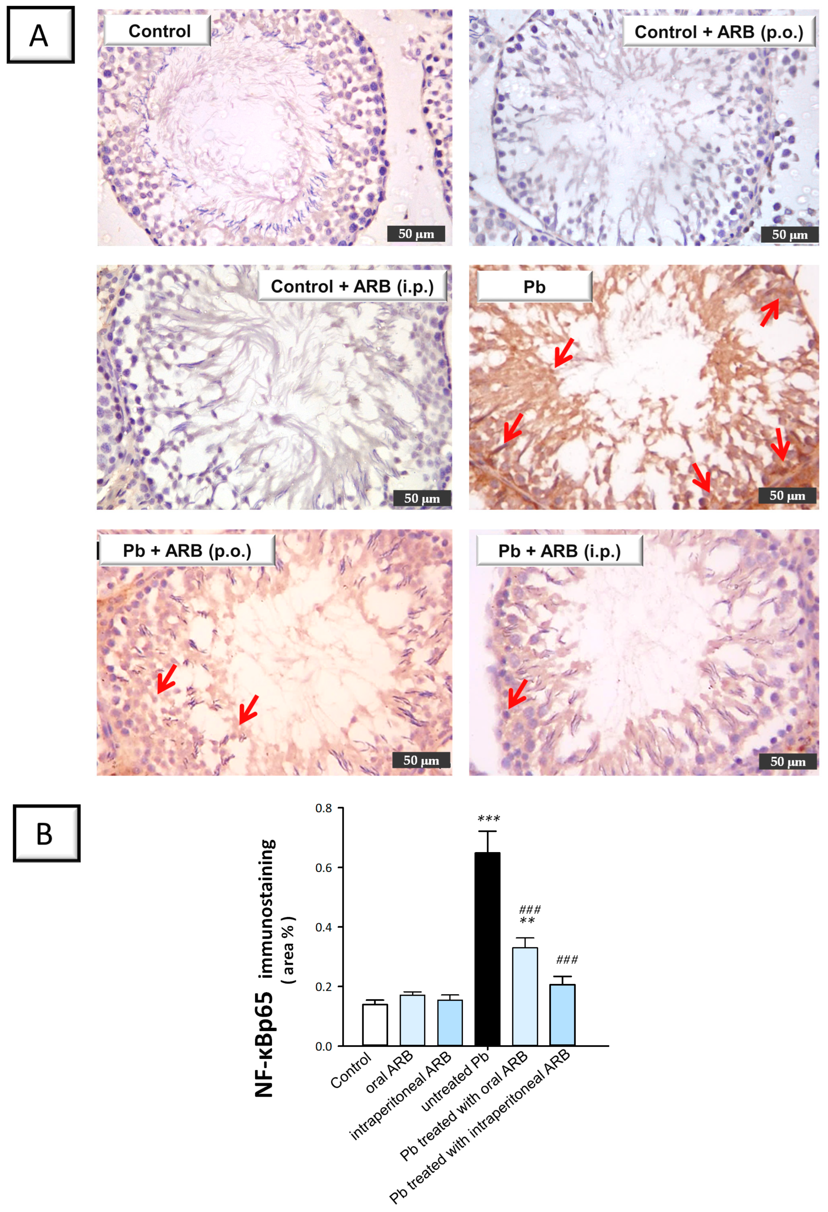 Pharmaceuticals 17 00909 g008