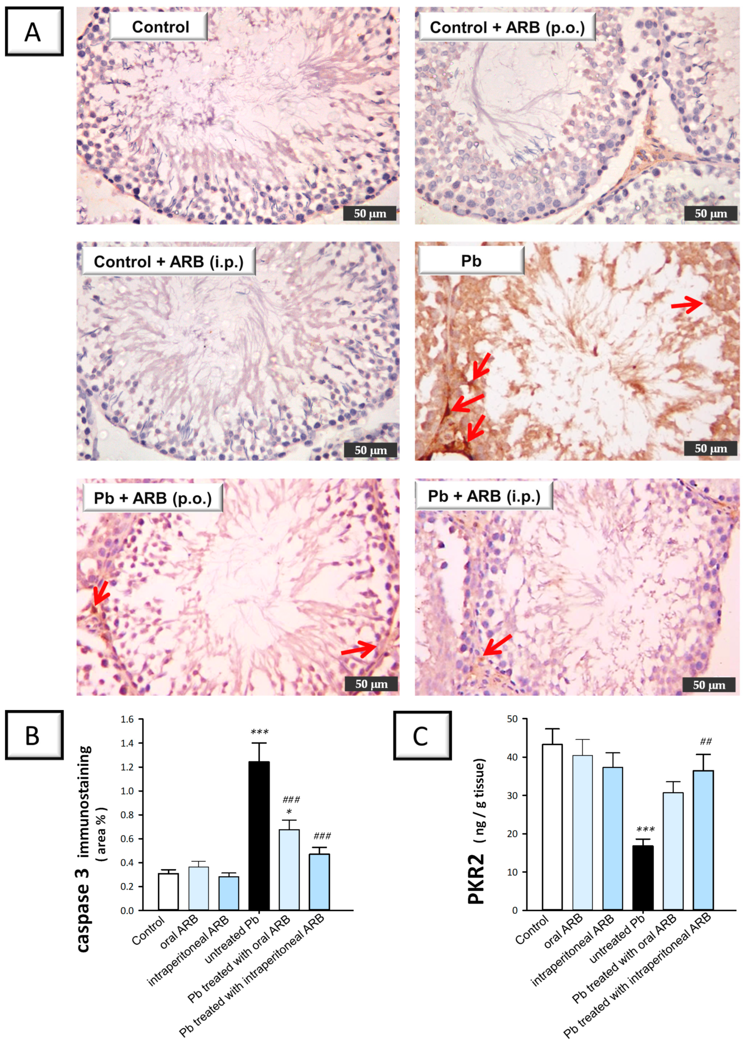 Pharmaceuticals 17 00909 g009