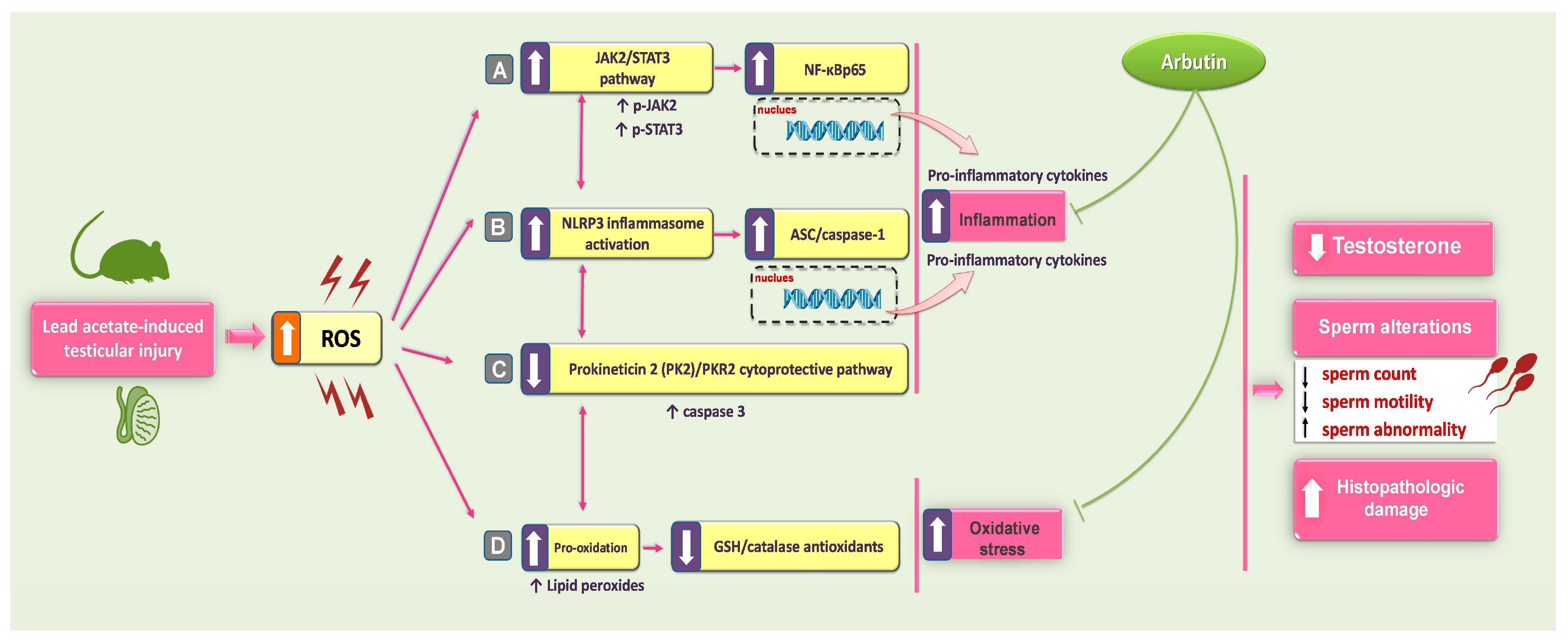 Pharmaceuticals 17 00909 g010