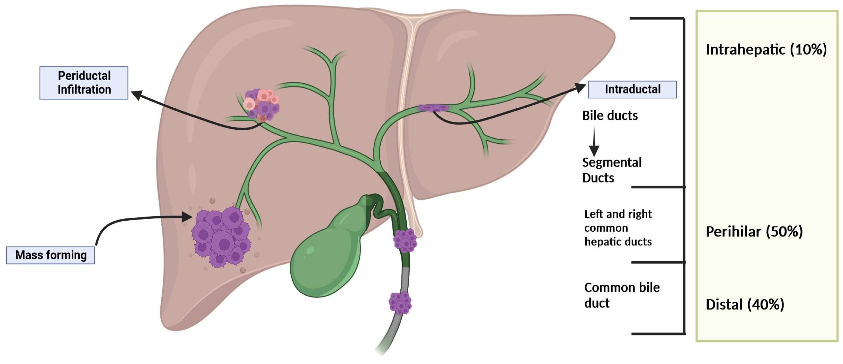 Pharmaceuticals 17 00910 g001