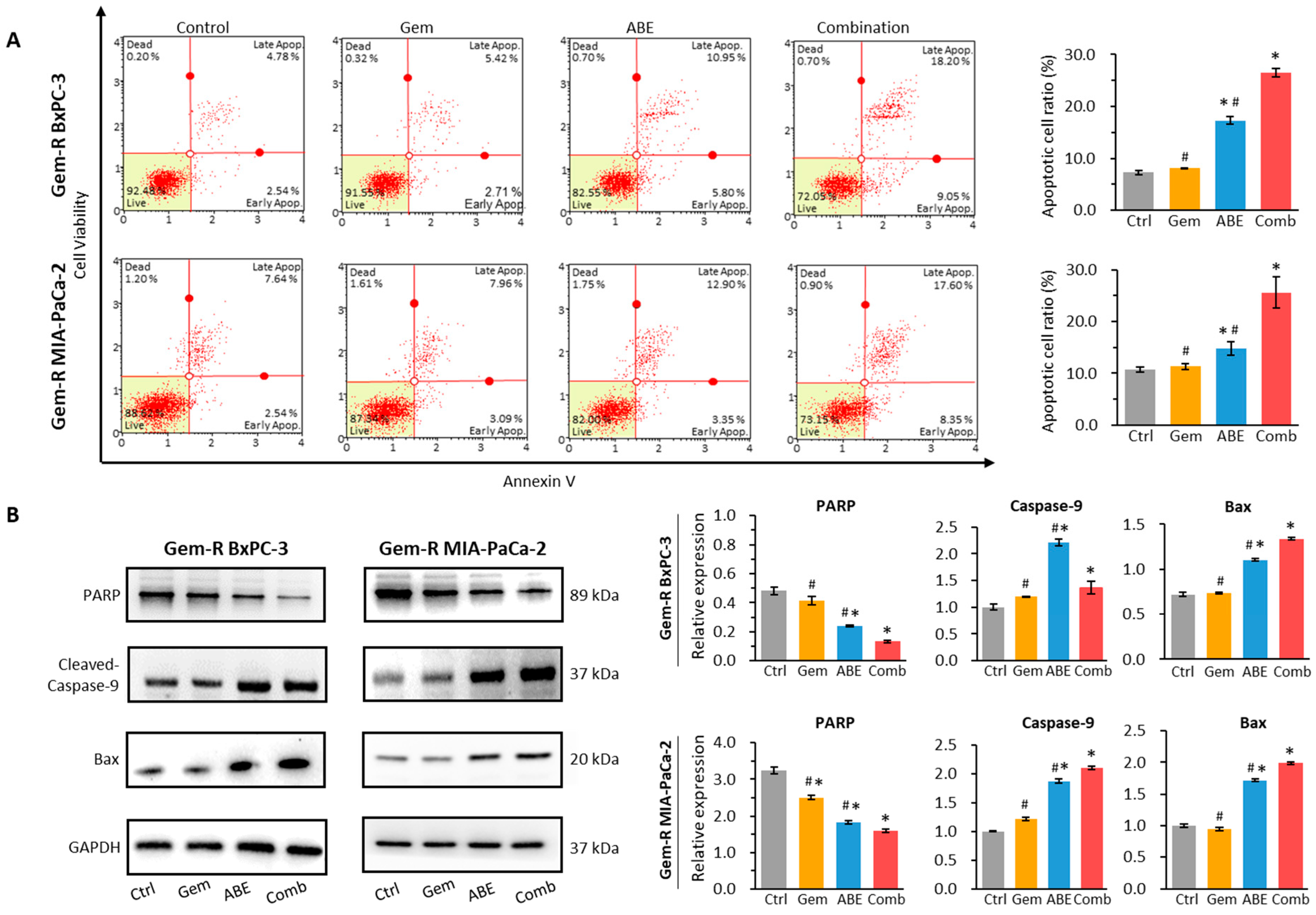 Pharmaceuticals 17 00911 g003