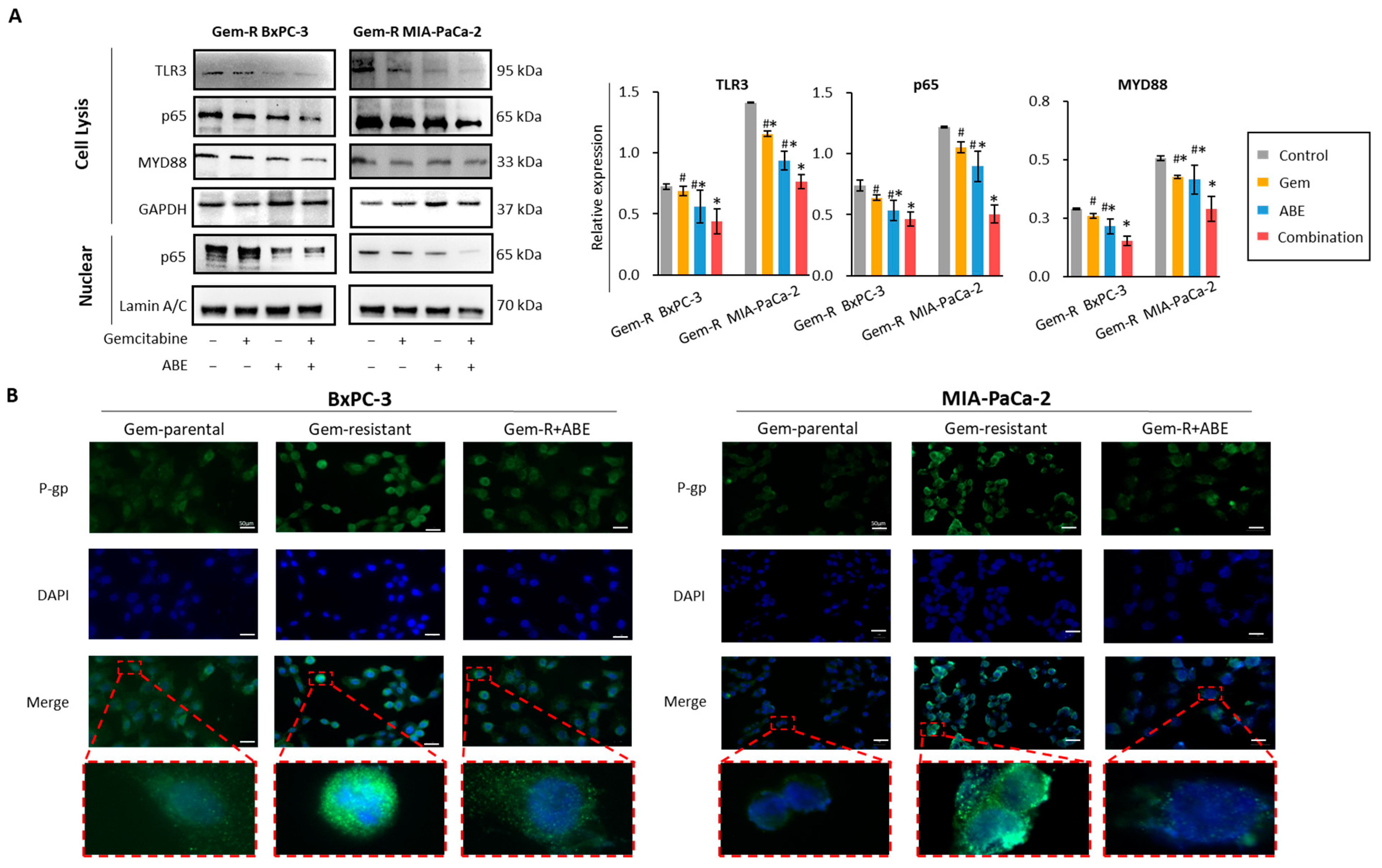 Pharmaceuticals 17 00911 g005