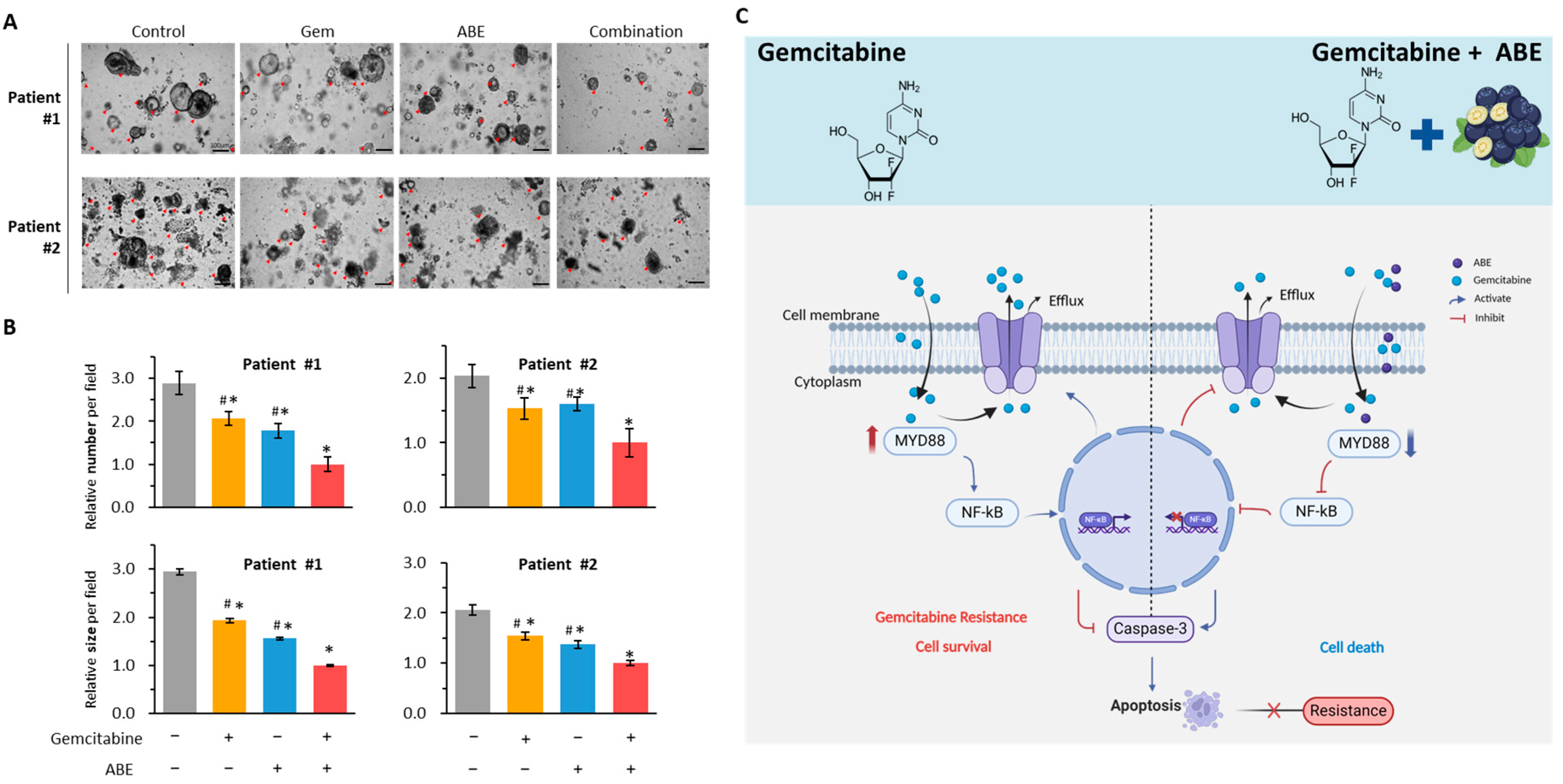 Pharmaceuticals 17 00911 g006