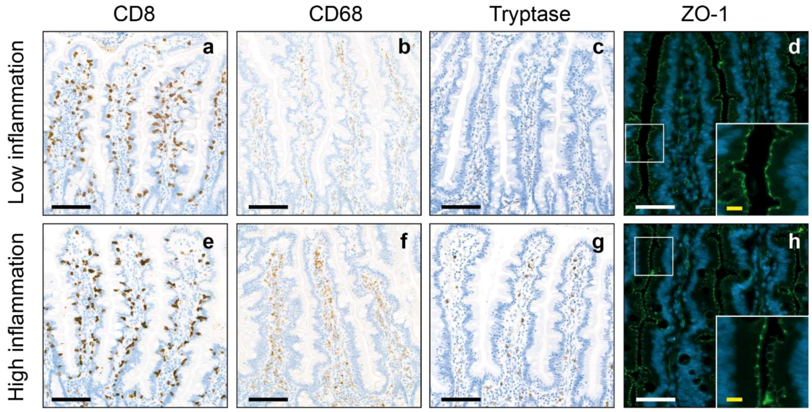 Pharmaceuticals 17 00918 g001 Pharmaceuticals 17 00918 g001