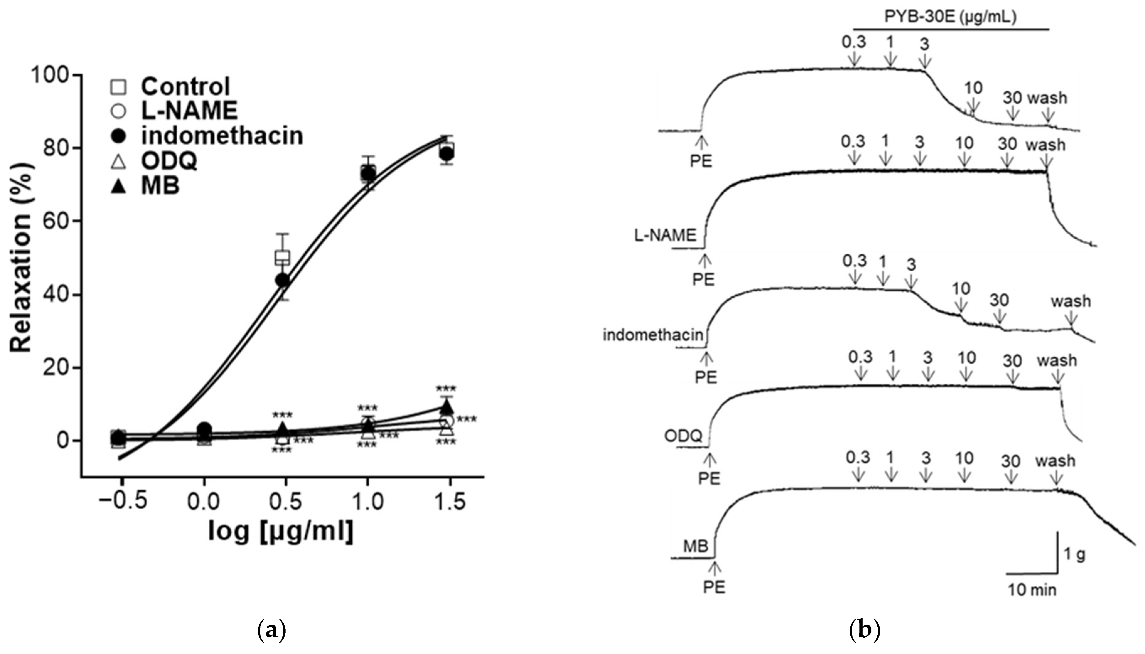 Pharmaceuticals 17 00926 g004