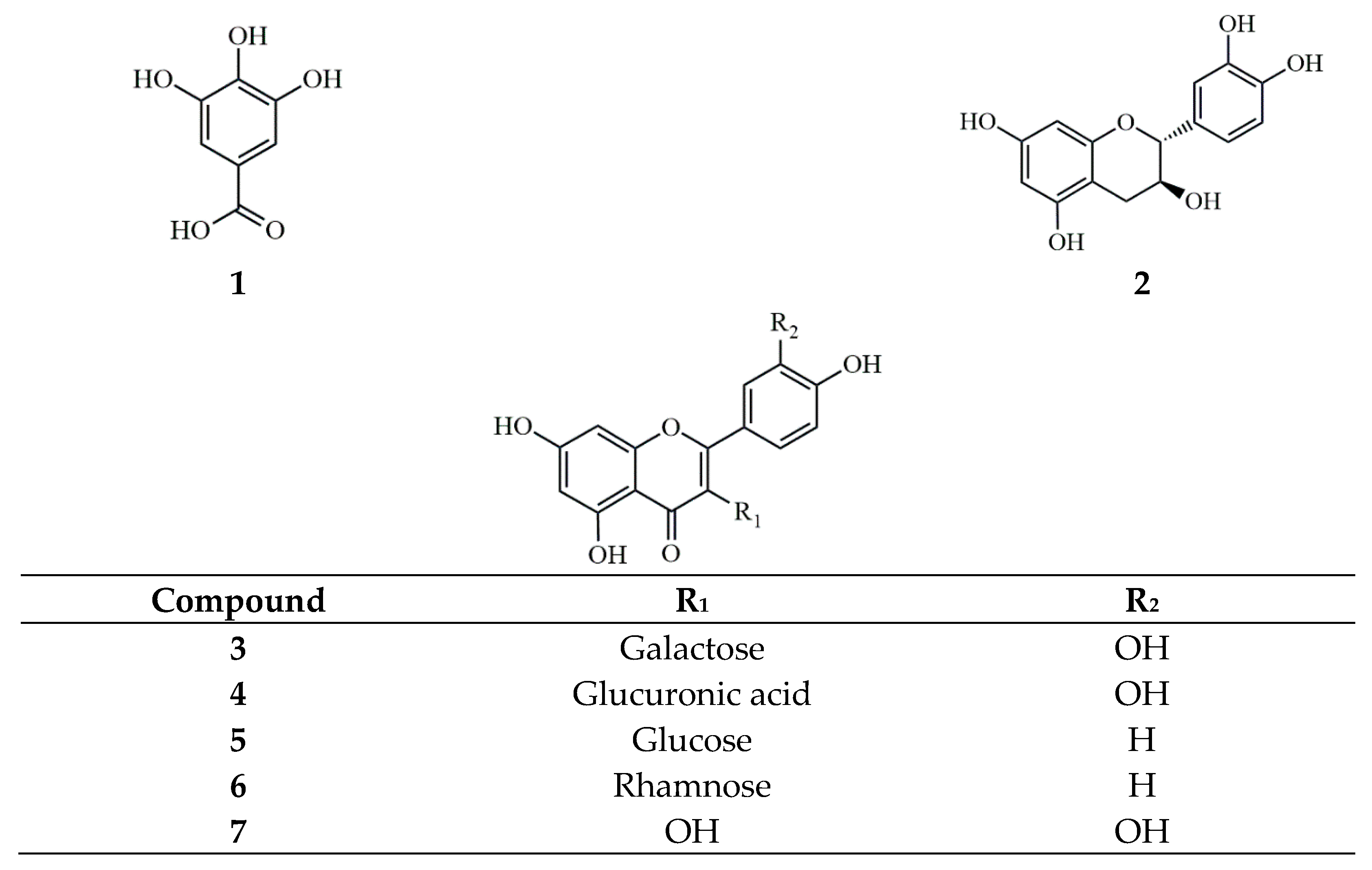 Pharmaceuticals 17 00928 g004