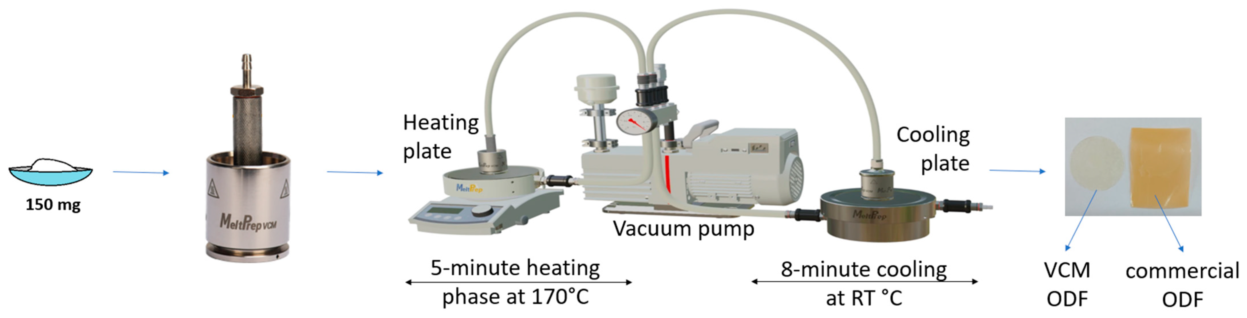 Pharmaceuticals 17 00934 g012