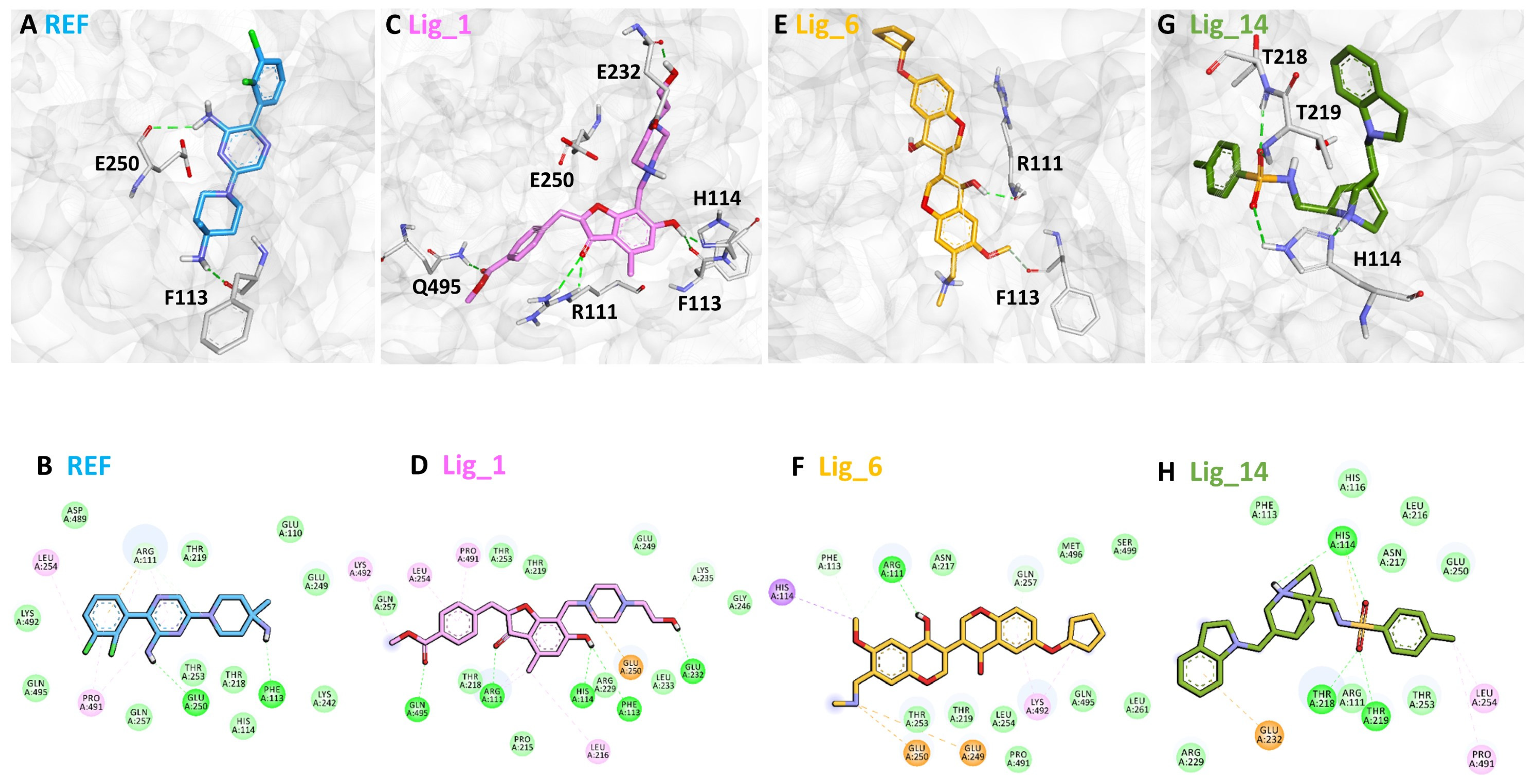 Pharmaceuticals 17 00935 g008