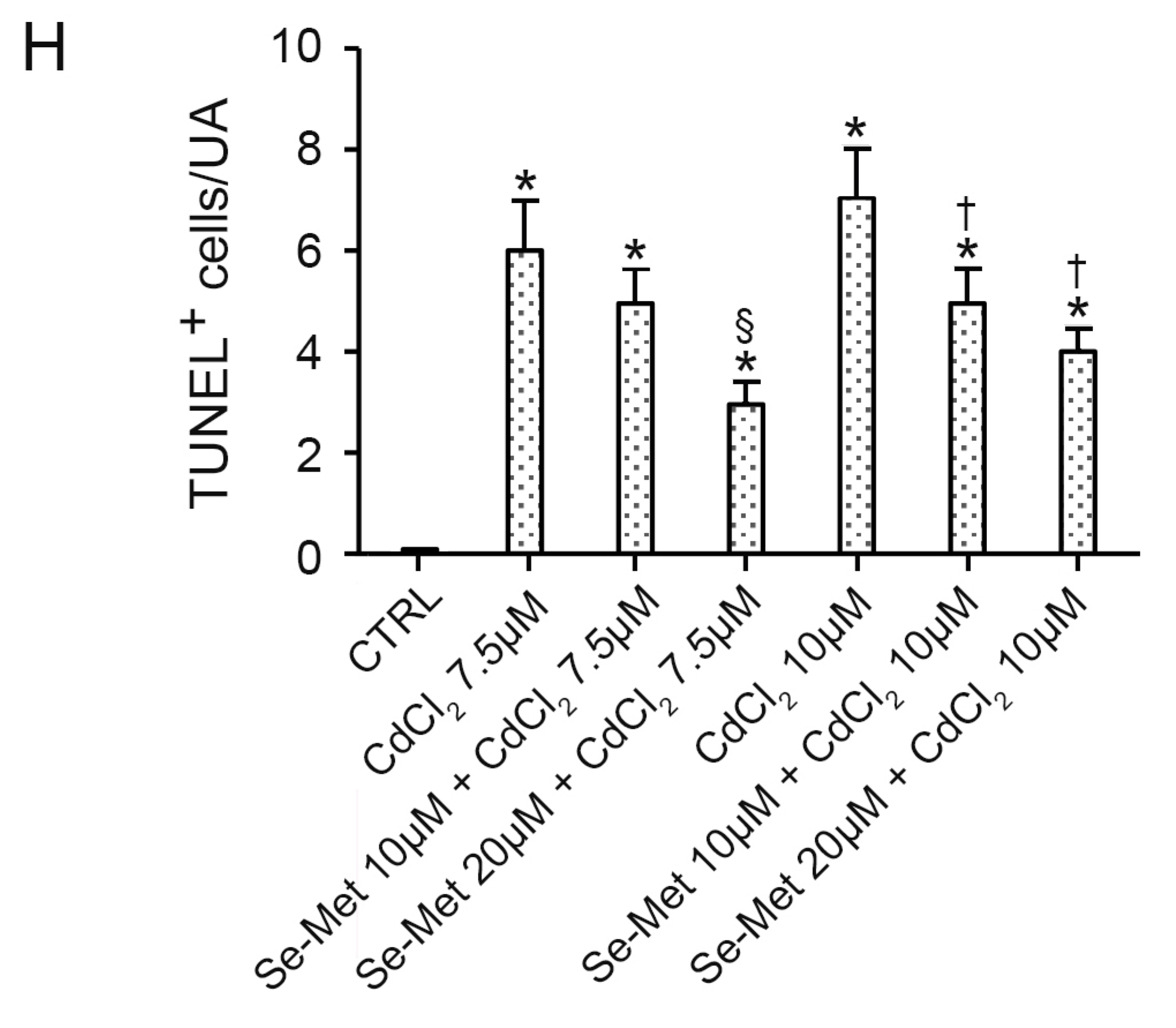 Pharmaceuticals 17 00936 g004b