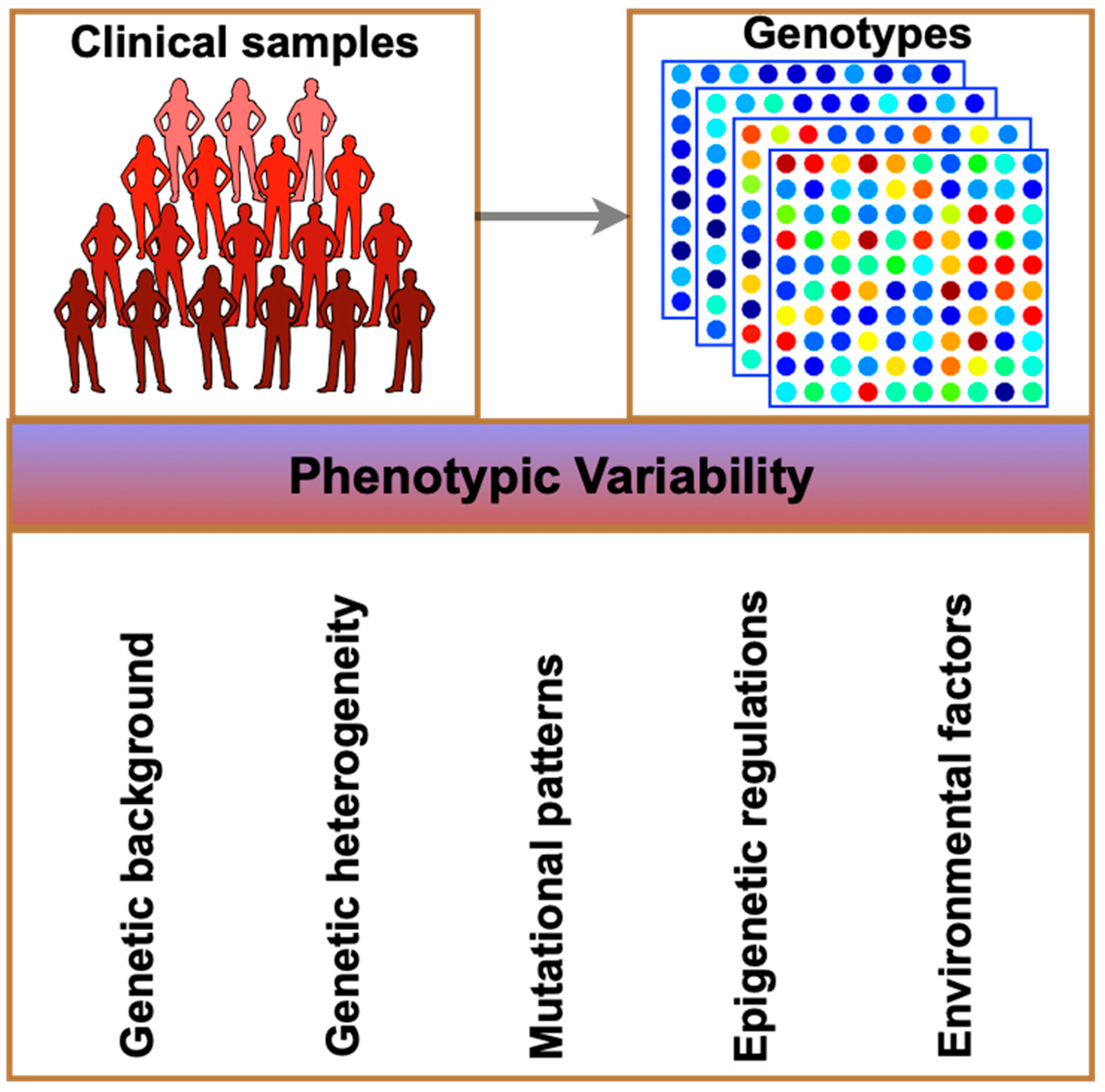 Pharmaceuticals 17 00940 g002