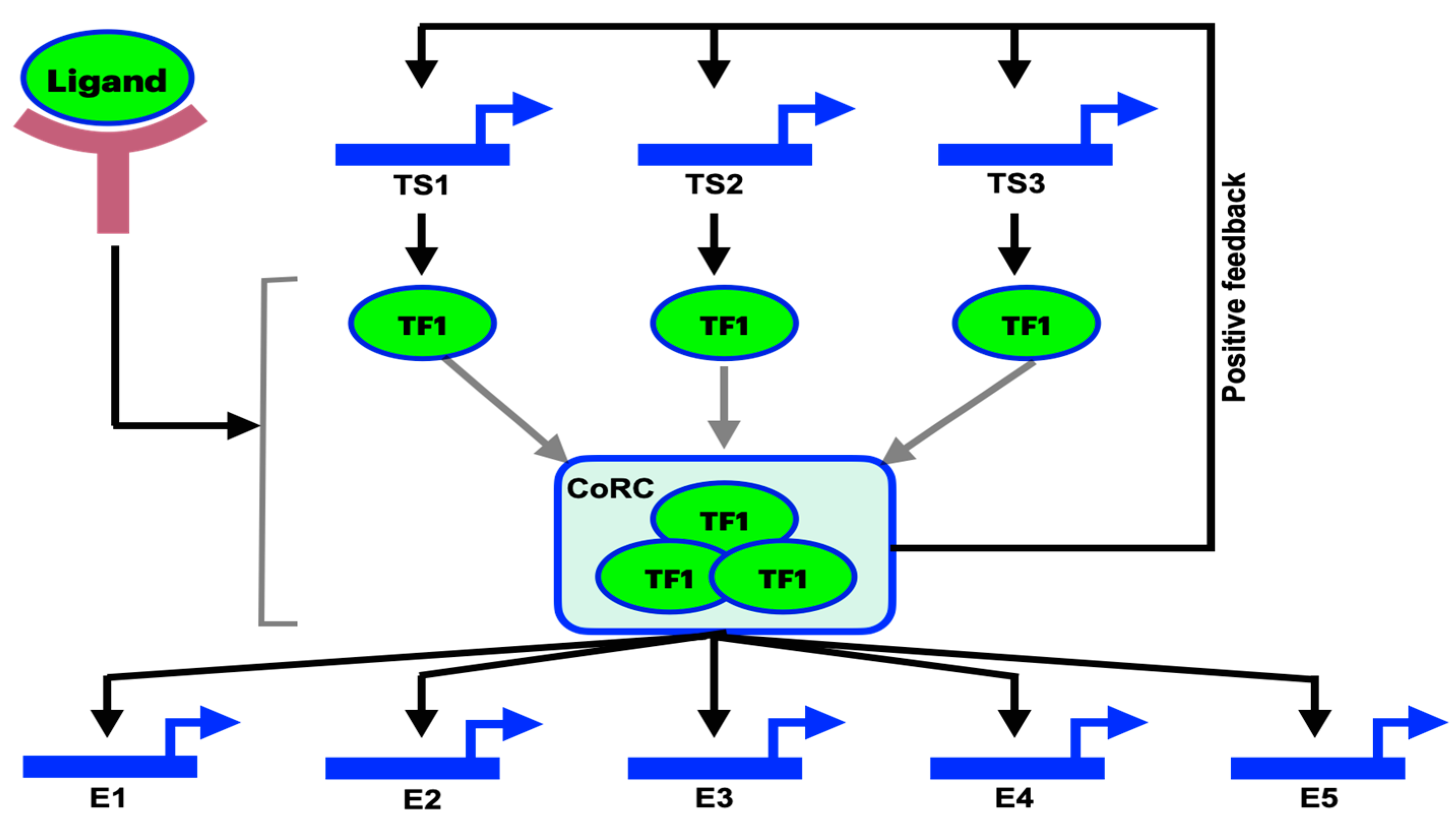 Pharmaceuticals 17 00940 g003