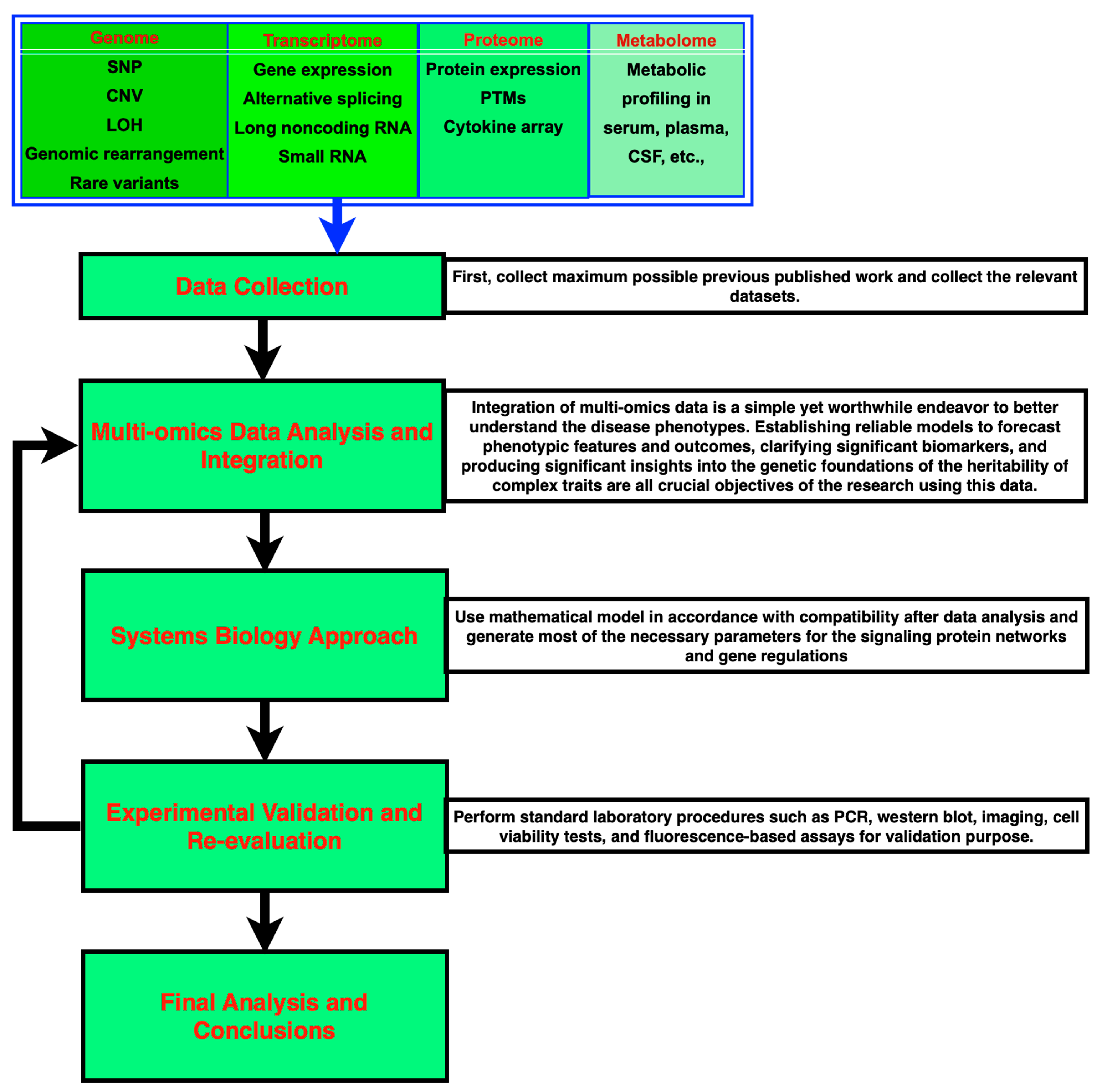 Pharmaceuticals 17 00940 g004
