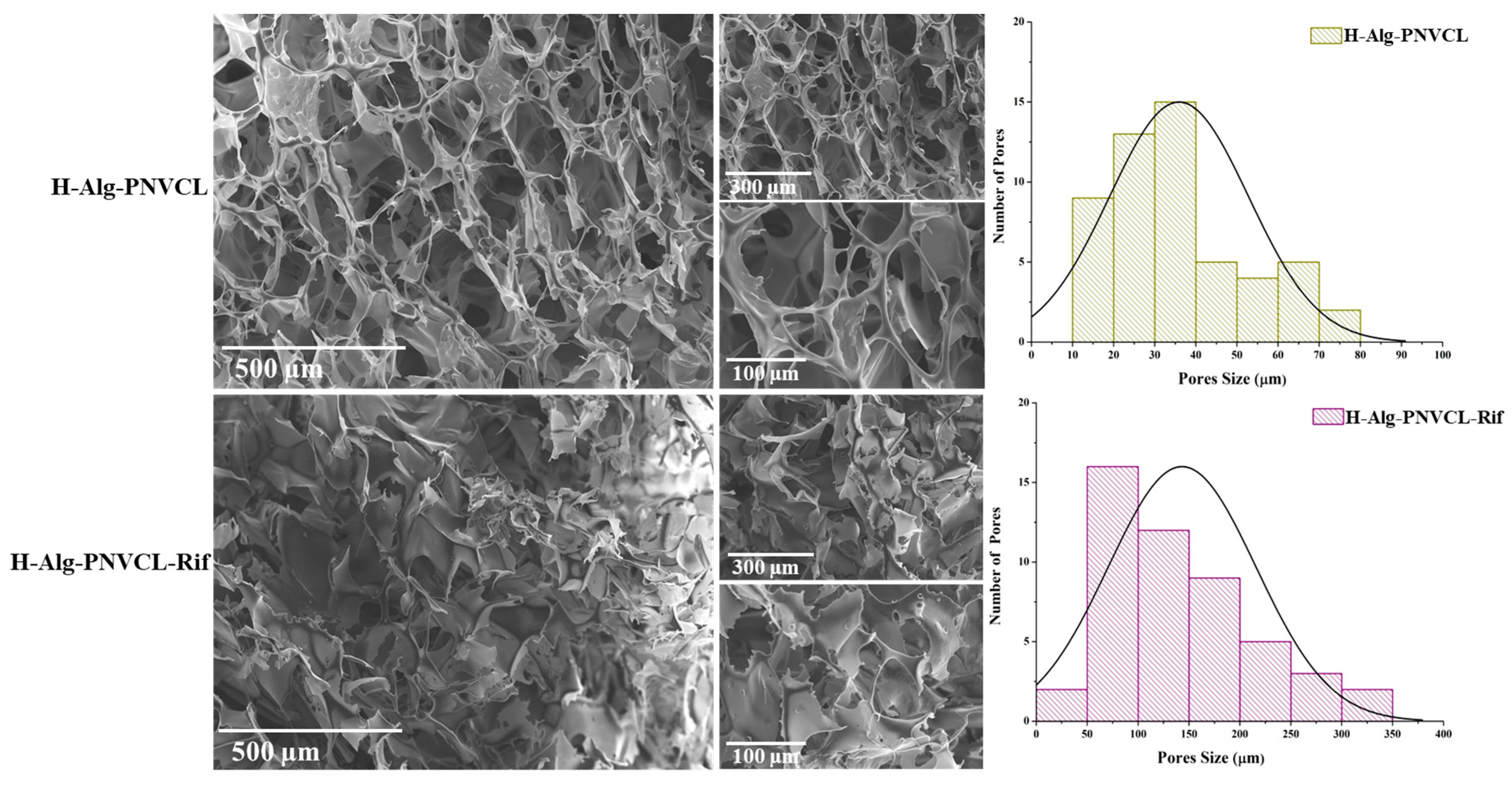 Pharmaceuticals 17 00943 g003