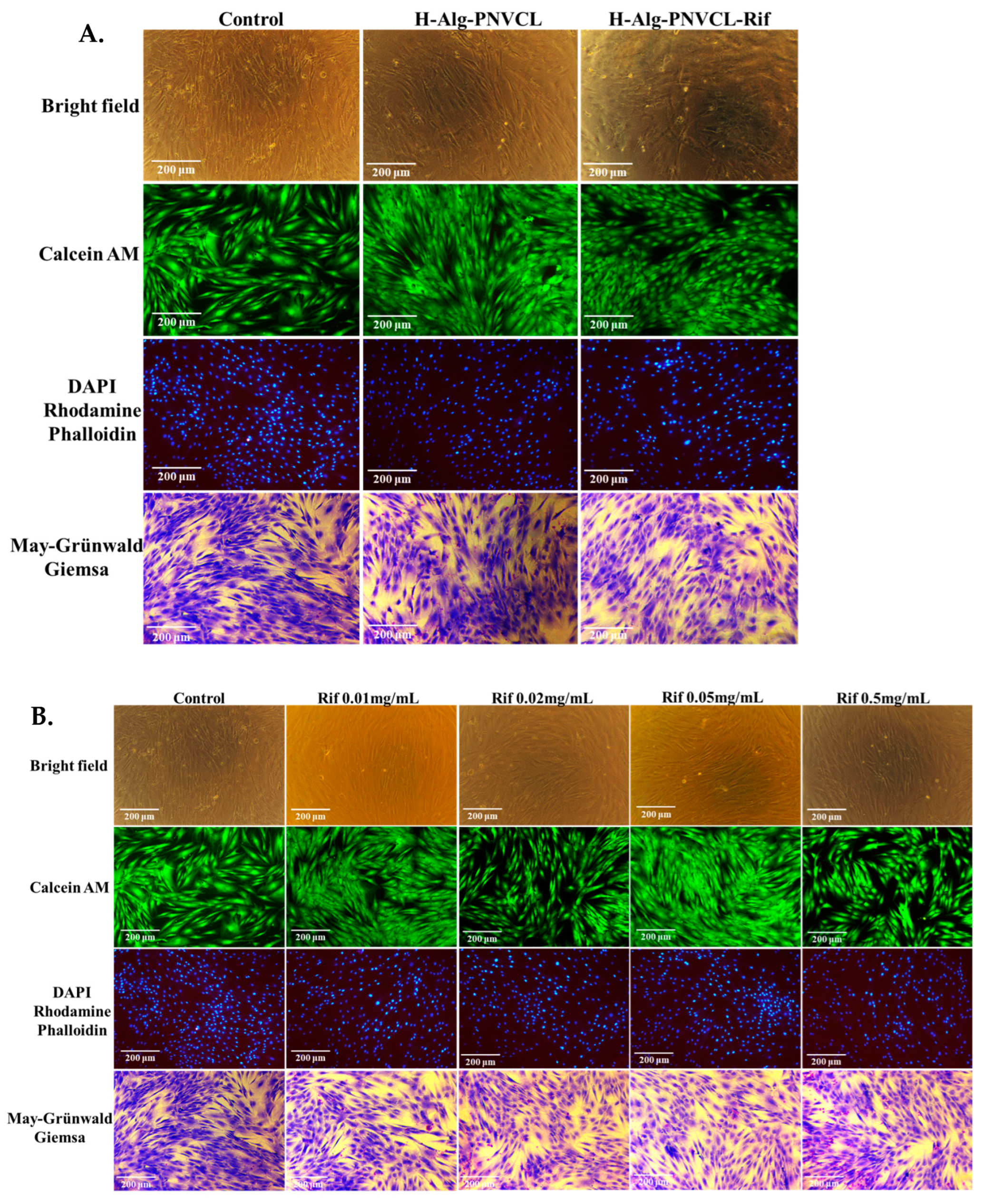 Pharmaceuticals 17 00943 g007